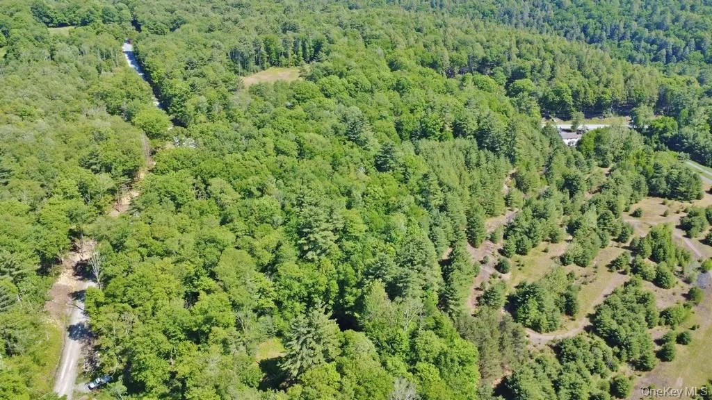 *** Marsh Rd, Fallsburg, NY, ,Land,For Rent,*** Marsh Rd,0,1010465 *** Marsh Rd, Fallsburg, NY, ,Land,For Rent,*** Marsh Rd,0,1010465