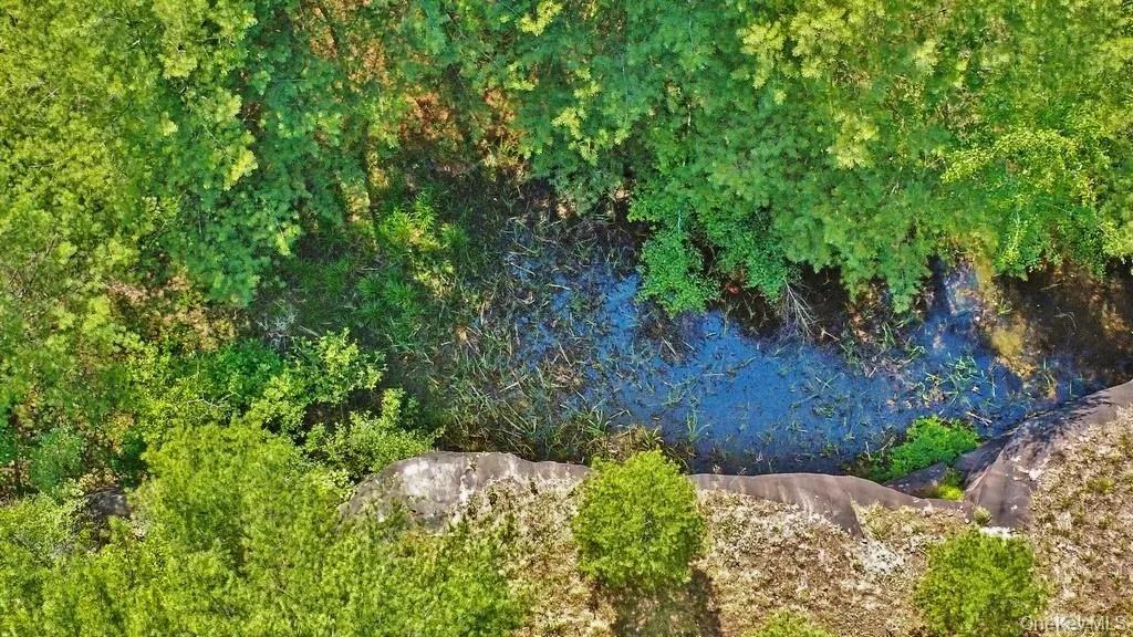 Pond Pond