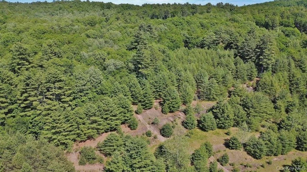 *** Marsh Rd, Fallsburg, NY, ,Land,For Rent,*** Marsh Rd,0,1010465 *** Marsh Rd, Fallsburg, NY, ,Land,For Rent,*** Marsh Rd,0,1010465