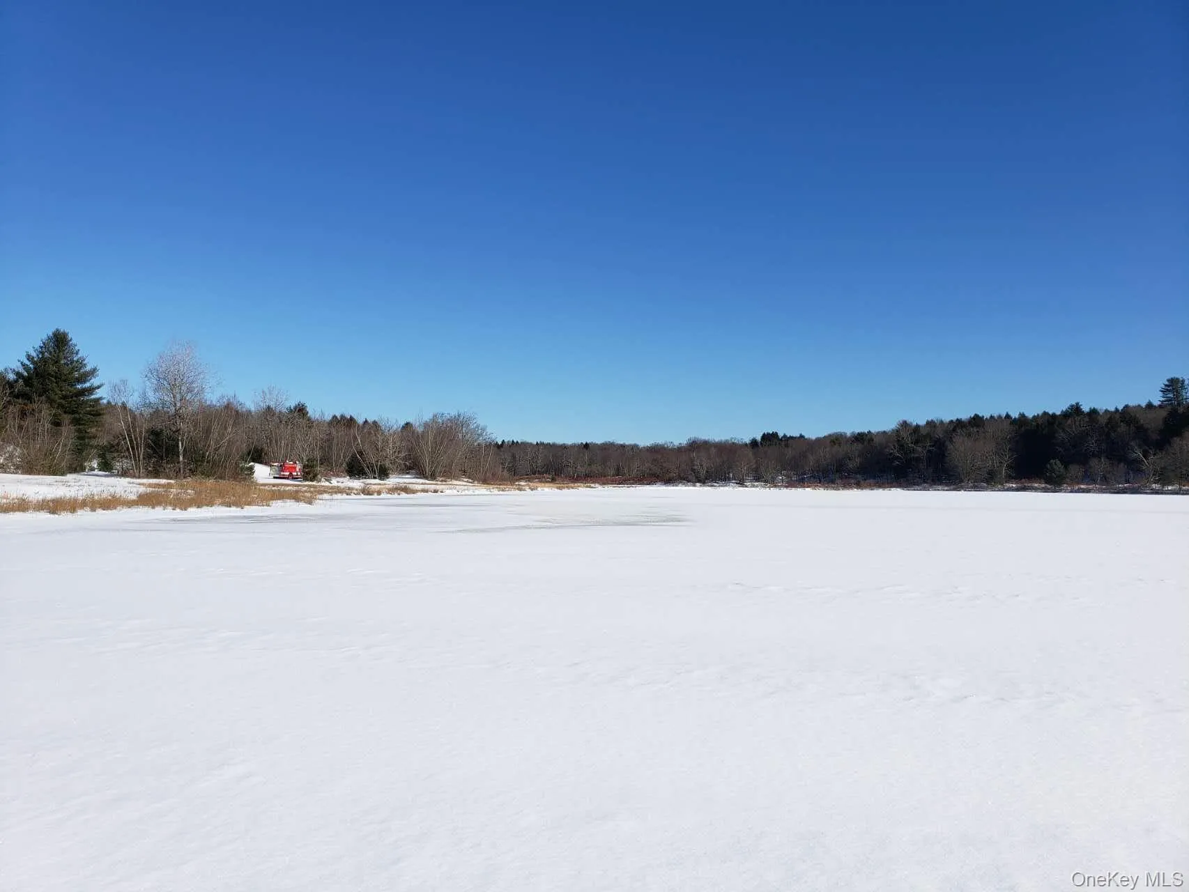 64 Gale Road, Bethel, NY, ,Land,For Rent,Gale,0,1010473 64 Gale Road, Bethel, NY, ,Land,For Rent,Gale,0,1010473