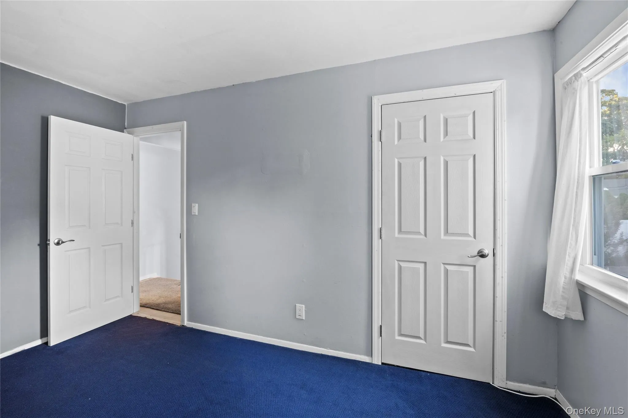 Room with blue carpeting and light gray walls Room with blue carpeting and light gray walls