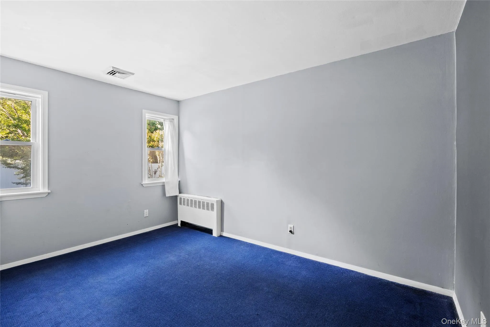 Room featuring light gray walls, white trim, and blue carpet flooring Room featuring light gray walls, white trim, and blue carpet flooring
