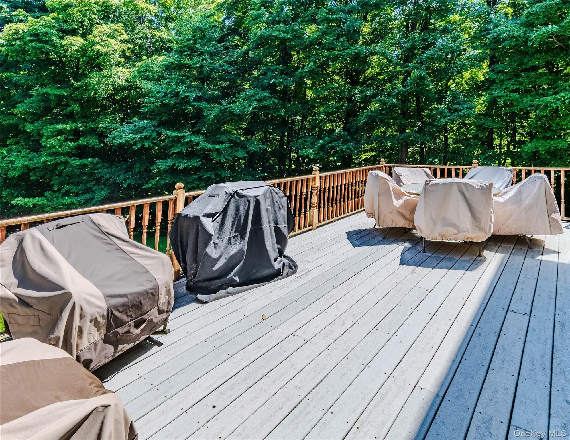 276 Spruce Road, Mamakating, NY, 4 Bedrooms Bedrooms, 8 Rooms Rooms,2 BathroomsBathrooms,Residential,For Rent,Spruce,0,1010523 276 Spruce Road, Mamakating, NY, 4 Bedrooms Bedrooms, 8 Rooms Rooms,2 BathroomsBathrooms,Residential,For Rent,Spruce,0,1010523