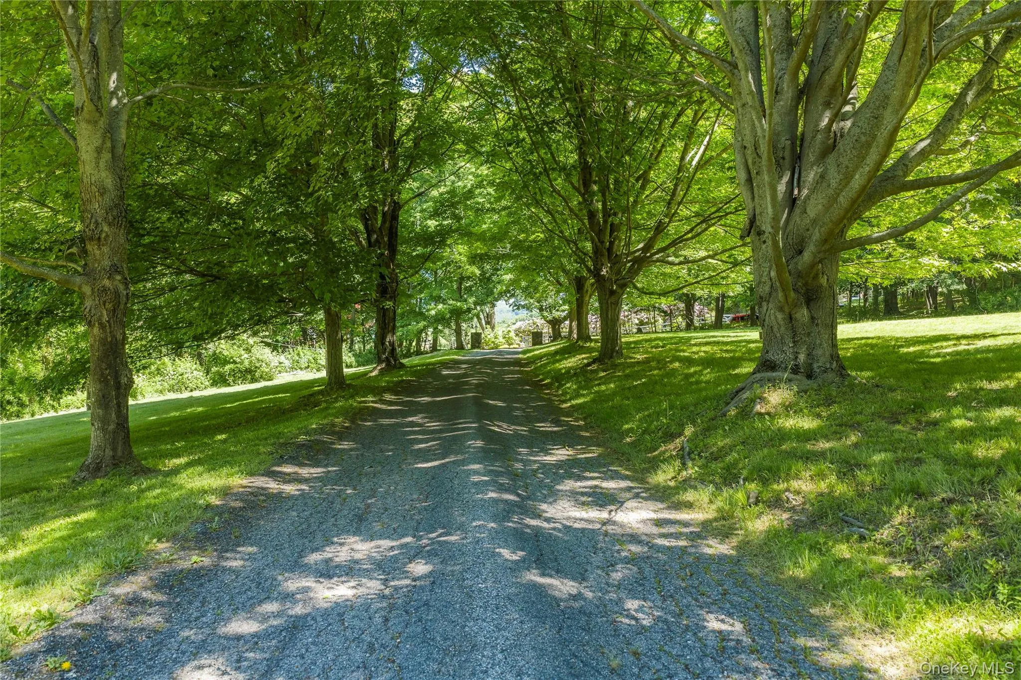 64 Quaker Hill Road, Pawling, NY, 5 Bedrooms Bedrooms, 13 Rooms Rooms,4 BathroomsBathrooms,Residential,For Rent,Quaker Hill,0,1010537 64 Quaker Hill Road, Pawling, NY, 5 Bedrooms Bedrooms, 13 Rooms Rooms,4 BathroomsBathrooms,Residential,For Rent,Quaker Hill,0,1010537