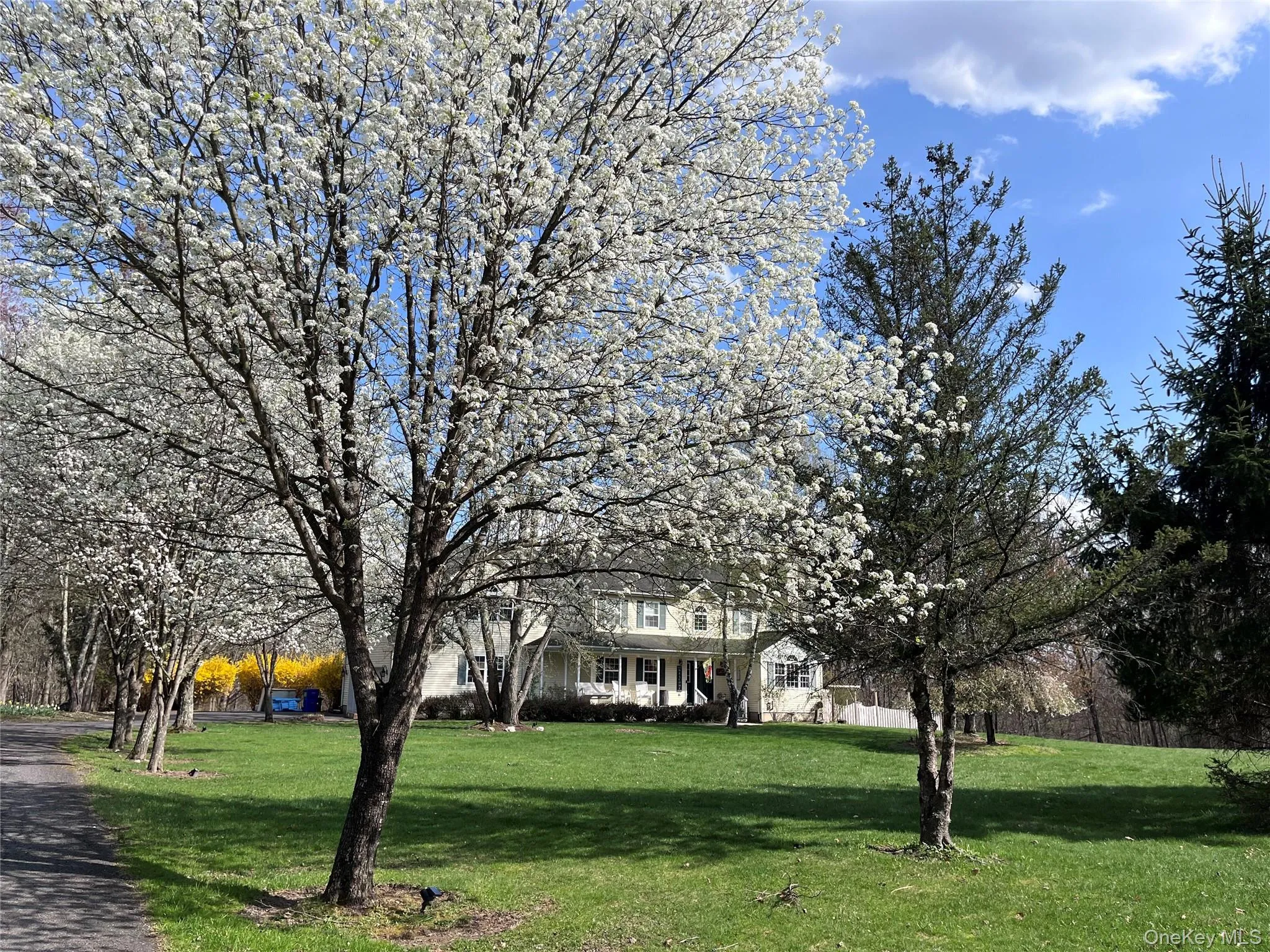 124 Rutsonville Road, Shawangunk, NY, 4 Bedrooms Bedrooms, 9 Rooms Rooms,2 BathroomsBathrooms,Residential,For Rent,Rutsonville,0,1010546 124 Rutsonville Road, Shawangunk, NY, 4 Bedrooms Bedrooms, 9 Rooms Rooms,2 BathroomsBathrooms,Residential,For Rent,Rutsonville,0,1010546