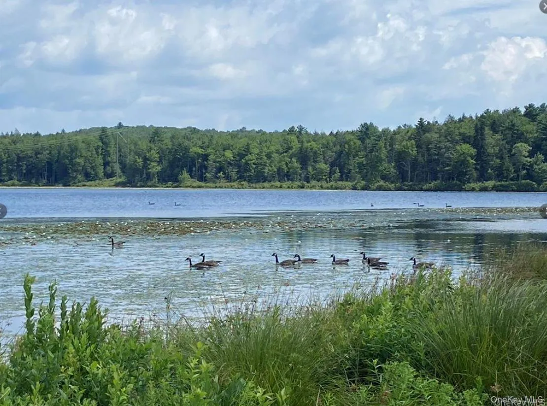 15 Bailey Lake Road, Thompson, NY, 1 Bedroom Bedrooms, 3 Rooms Rooms,1 BathroomBathrooms,Residential Lease,For Rent,Bailey Lake,0,1010571 15 Bailey Lake Road, Thompson, NY, 1 Bedroom Bedrooms, 3 Rooms Rooms,1 BathroomBathrooms,Residential Lease,For Rent,Bailey Lake,0,1010571