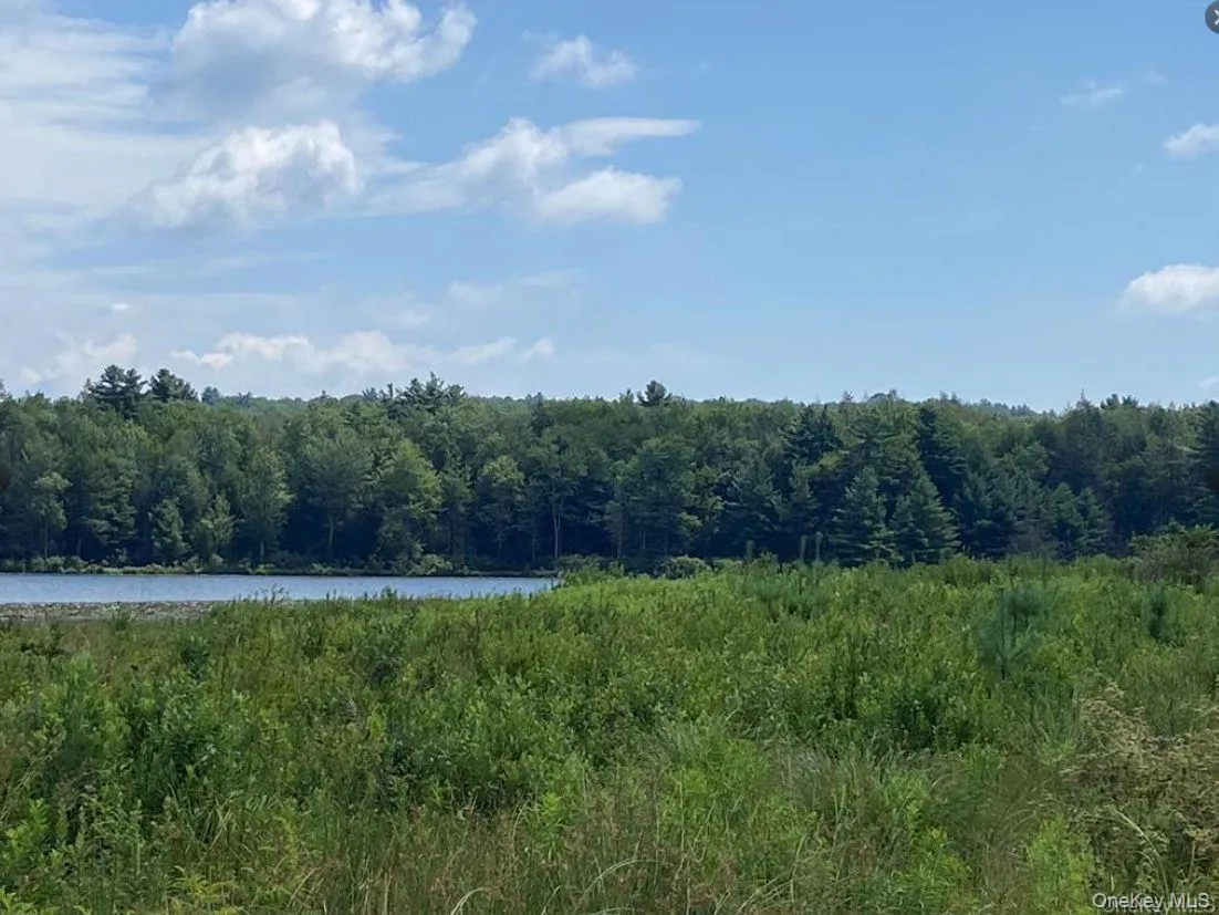 15 Bailey Lake Road, Thompson, NY, 1 Bedroom Bedrooms, 3 Rooms Rooms,1 BathroomBathrooms,Residential Lease,For Rent,Bailey Lake,0,1010571 15 Bailey Lake Road, Thompson, NY, 1 Bedroom Bedrooms, 3 Rooms Rooms,1 BathroomBathrooms,Residential Lease,For Rent,Bailey Lake,0,1010571