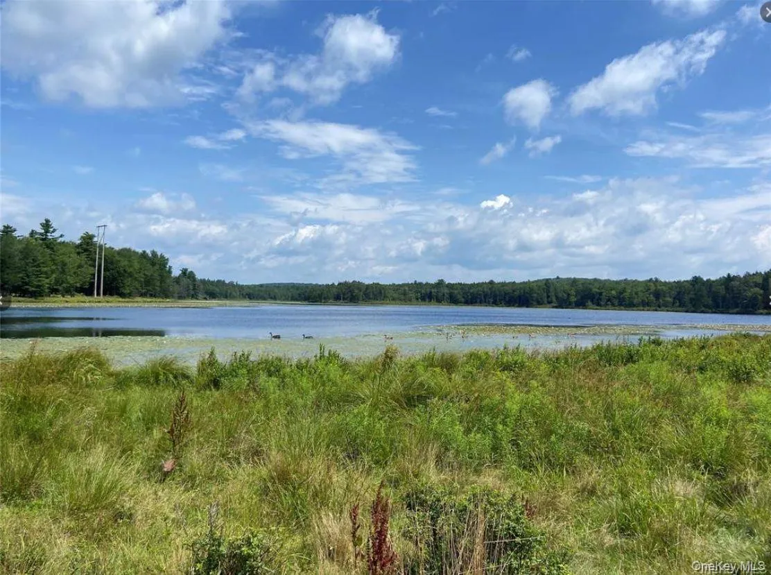 15 Bailey Lake Road, Thompson, NY, 1 Bedroom Bedrooms, 3 Rooms Rooms,1 BathroomBathrooms,Residential Lease,For Rent,Bailey Lake,0,1010571 15 Bailey Lake Road, Thompson, NY, 1 Bedroom Bedrooms, 3 Rooms Rooms,1 BathroomBathrooms,Residential Lease,For Rent,Bailey Lake,0,1010571