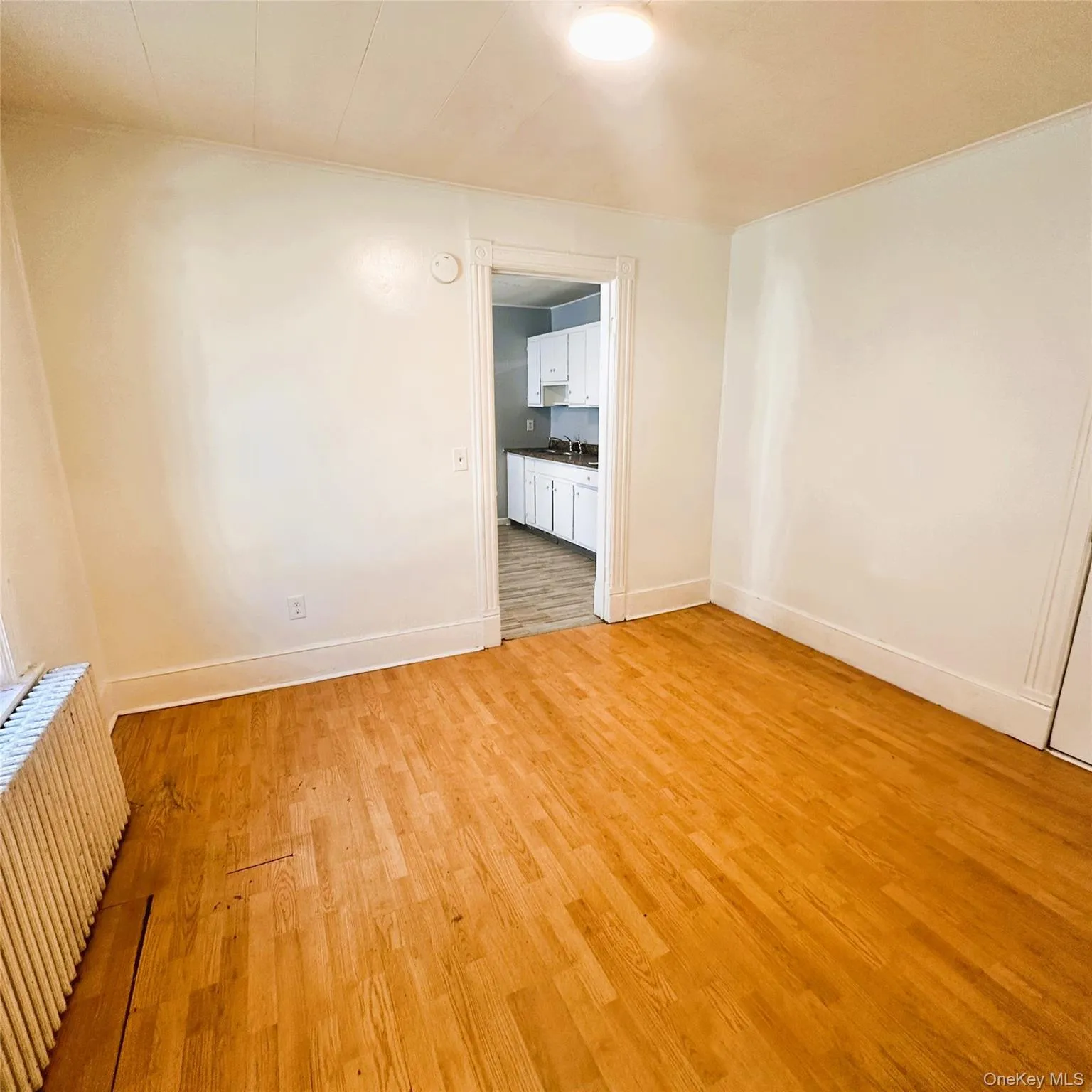 Vinyl flooring, radiator, light fixture, closet. Vinyl flooring, radiator, light fixture, closet.