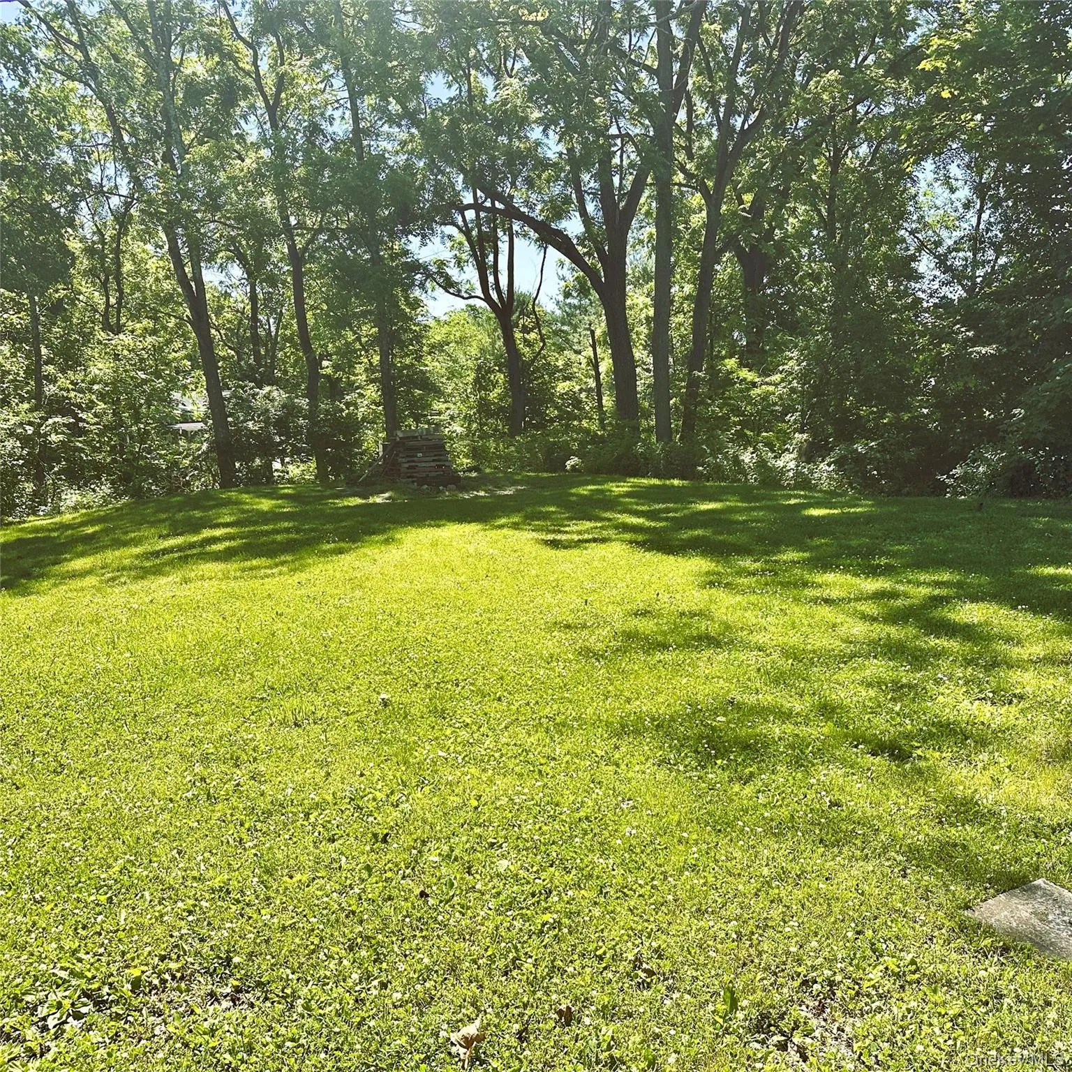 Large back yard. Large back yard.