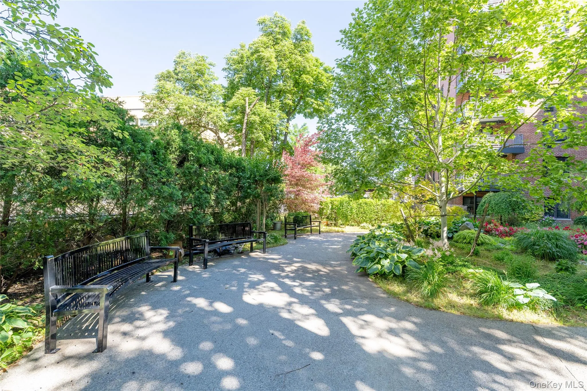 garden garden