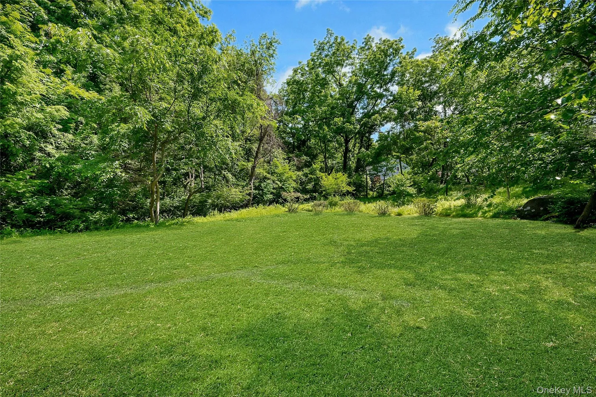 Grass color virtually enhanced. Grass color virtually enhanced.