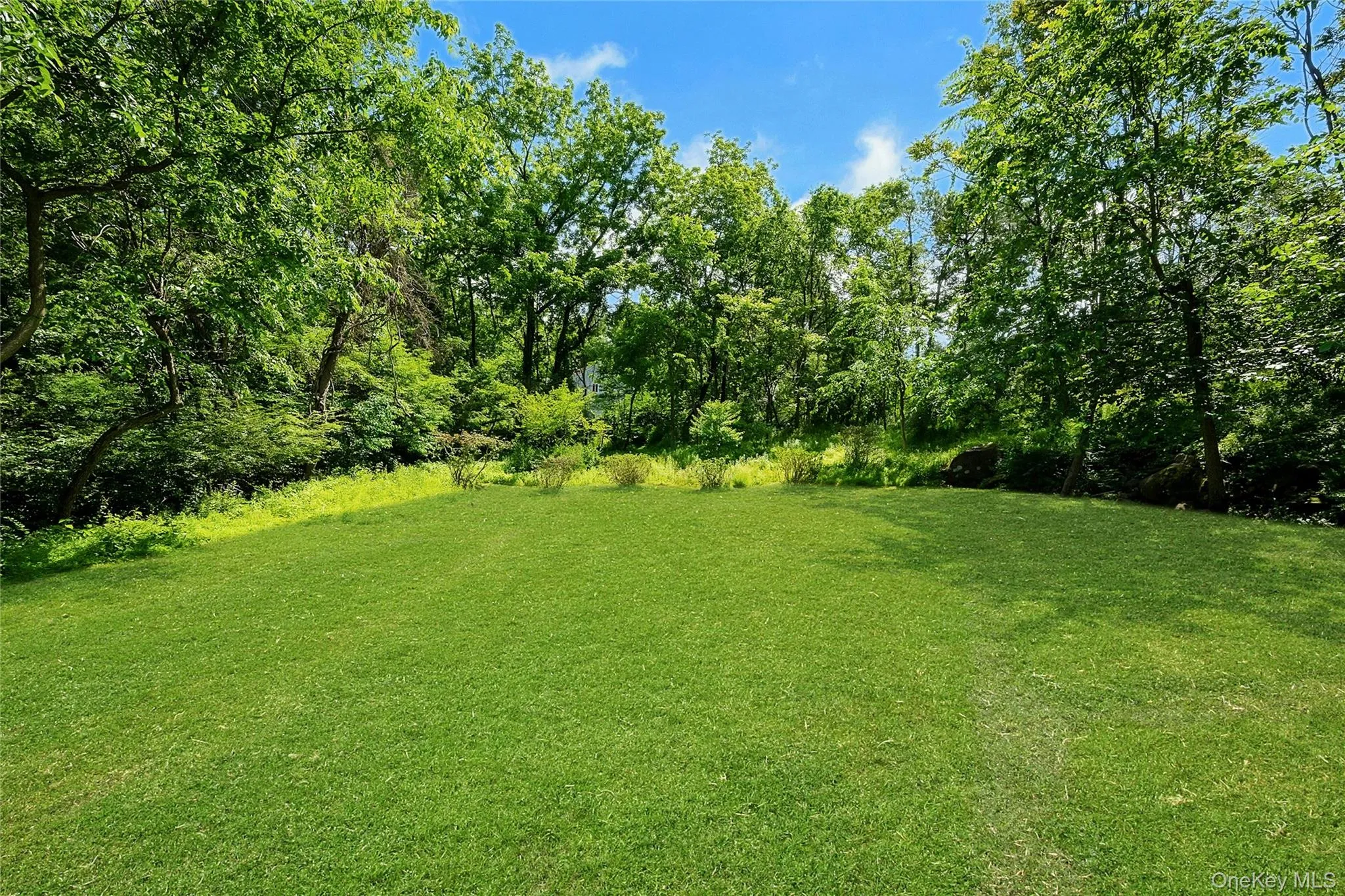 Grass color virtually enhanced. Grass color virtually enhanced.