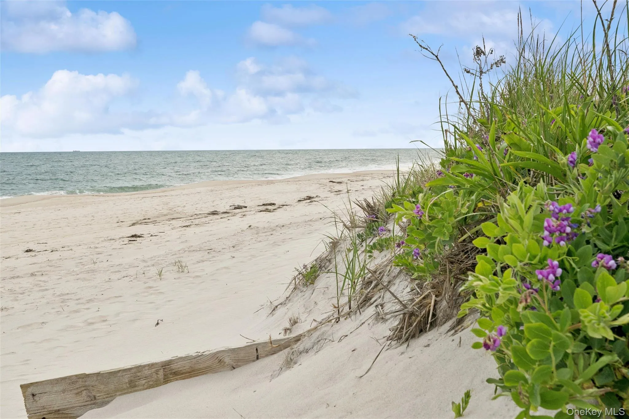 281 Dune Road, Southampton, NY, 1 Bedroom Bedrooms, 5 Rooms Rooms,1 BathroomBathrooms,Residential,For Rent,Dune,0,1010637 281 Dune Road, Southampton, NY, 1 Bedroom Bedrooms, 5 Rooms Rooms,1 BathroomBathrooms,Residential,For Rent,Dune,0,1010637