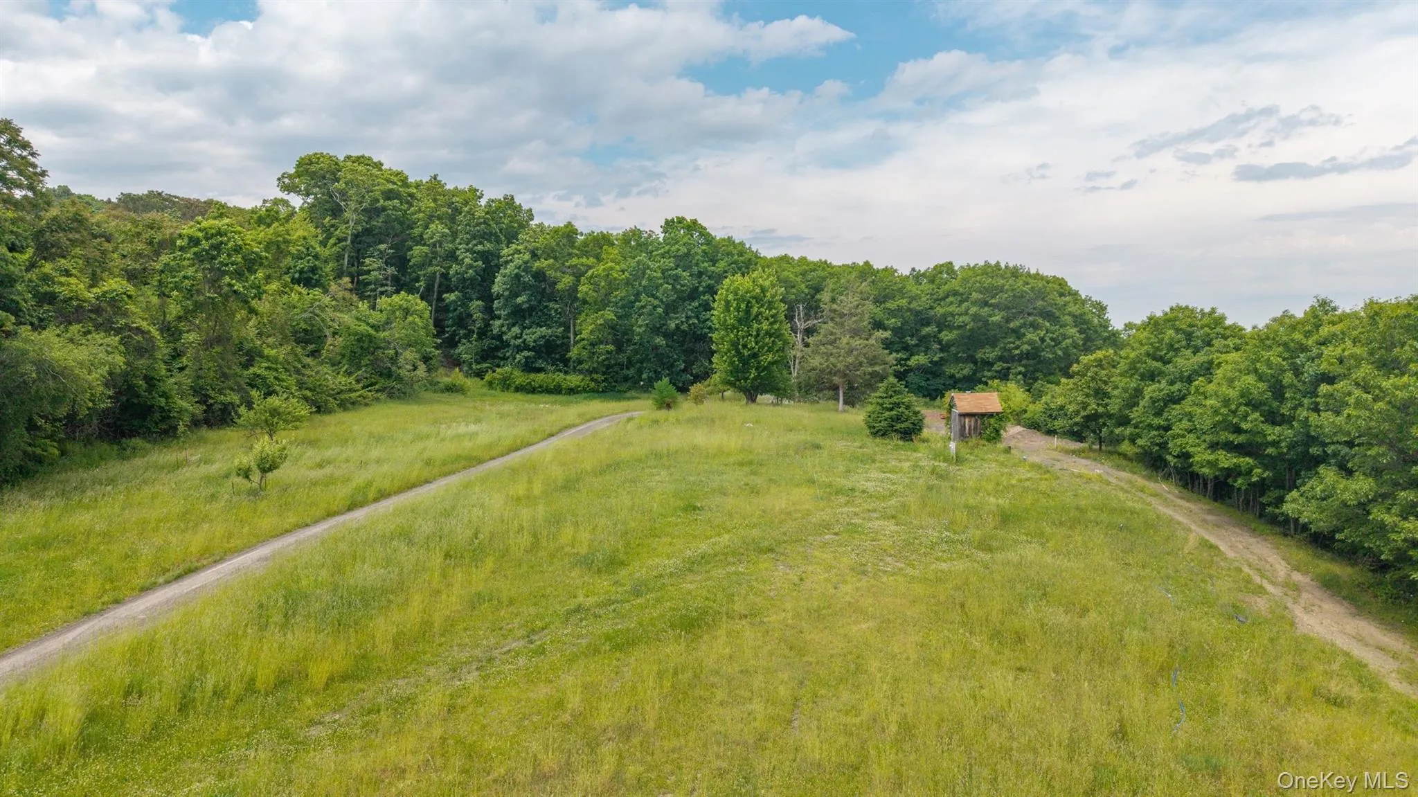 TBD Skinner Lane, Athens, NY, ,Land,For Rent,Skinner,0,1010654 TBD Skinner Lane, Athens, NY, ,Land,For Rent,Skinner,0,1010654
