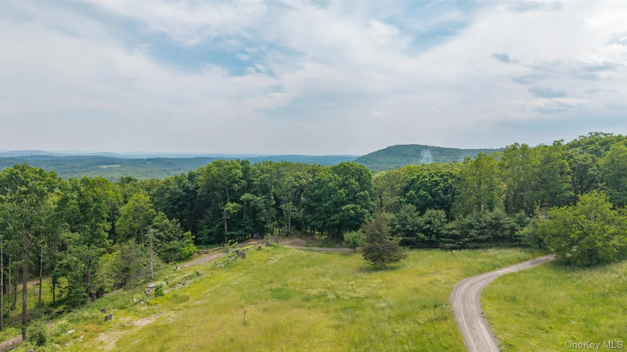 TBD Skinner Lane, Athens, NY, ,Land,For Rent,Skinner,0,1010654 TBD Skinner Lane, Athens, NY, ,Land,For Rent,Skinner,0,1010654