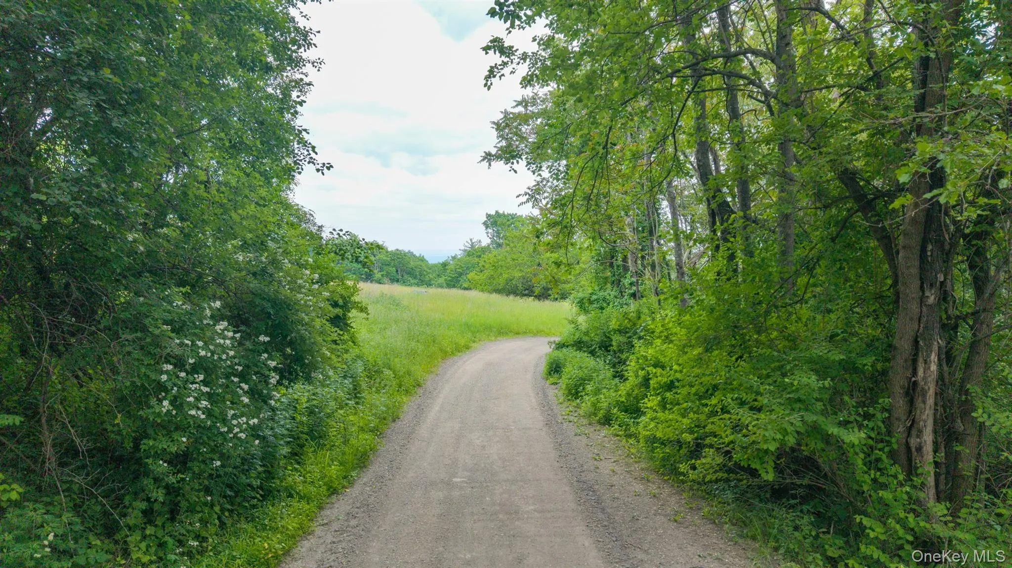 TBD Skinner Lane, Athens, NY, ,Land,For Rent,Skinner,0,1010654 TBD Skinner Lane, Athens, NY, ,Land,For Rent,Skinner,0,1010654