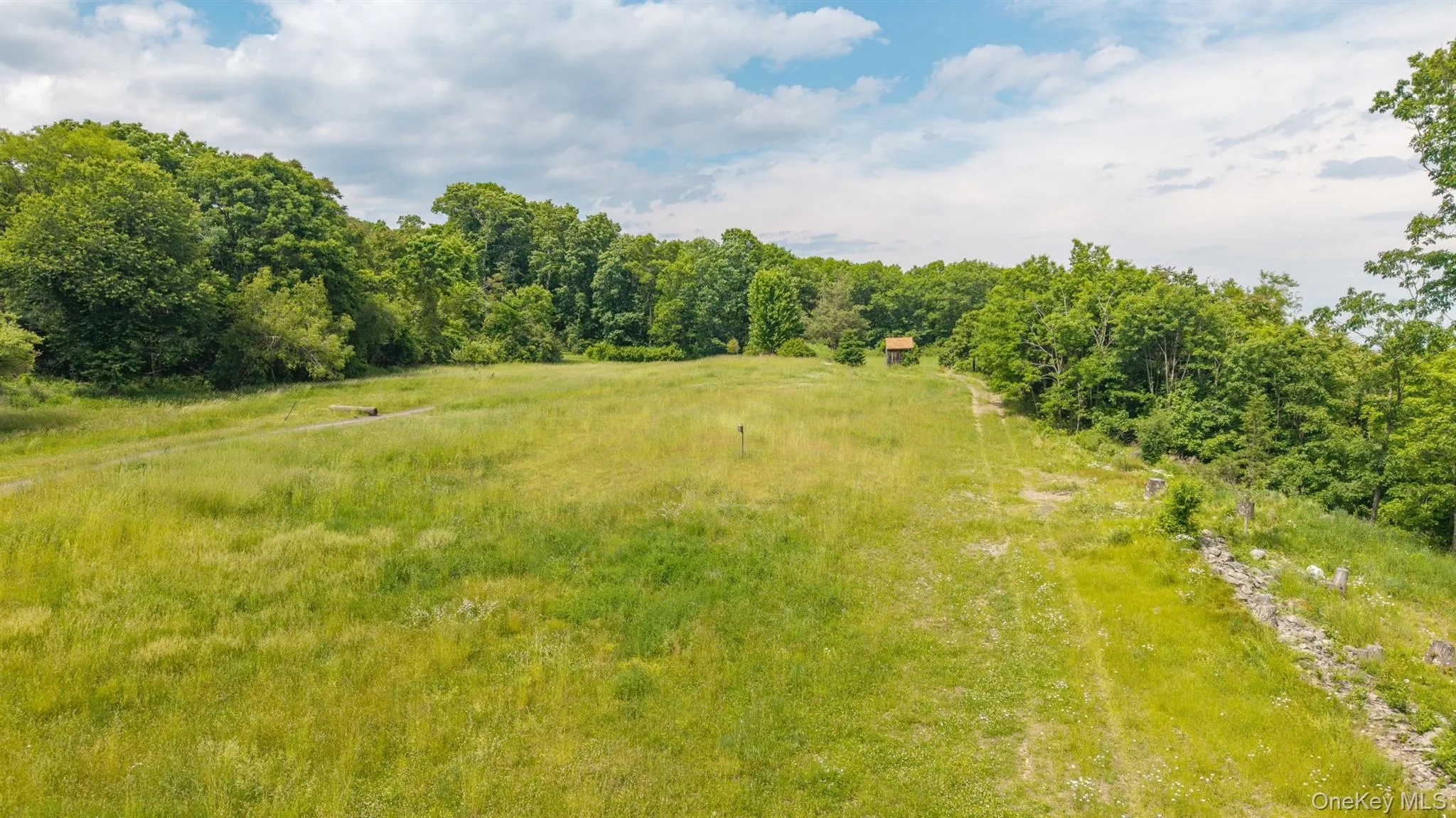 TBD Skinner Lane, Athens, NY, ,Land,For Rent,Skinner,0,1010654 TBD Skinner Lane, Athens, NY, ,Land,For Rent,Skinner,0,1010654