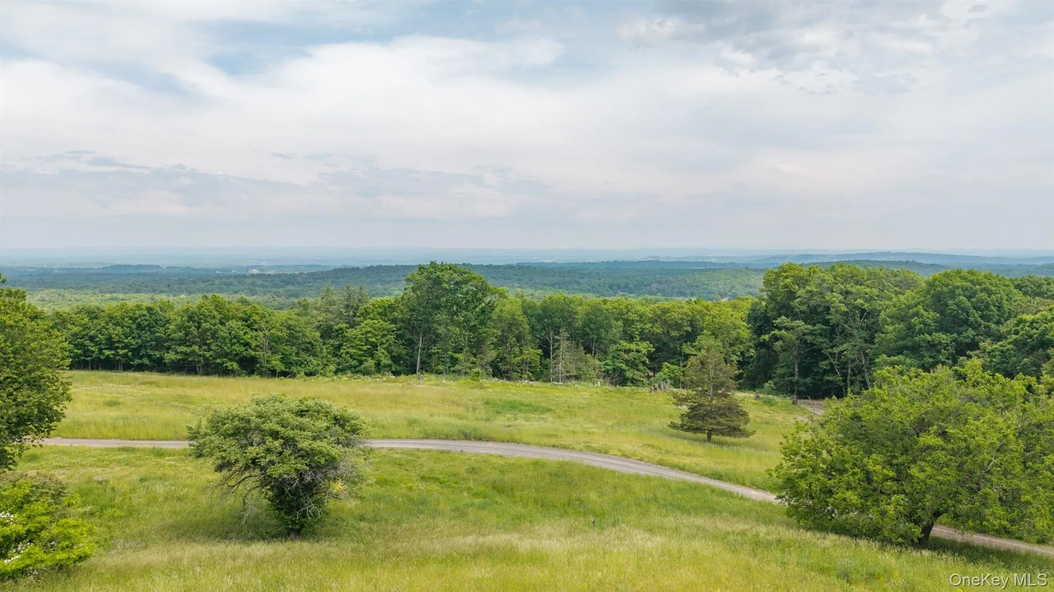 TBD Skinner Lane, Athens, NY, ,Land,For Rent,Skinner,0,1010654 TBD Skinner Lane, Athens, NY, ,Land,For Rent,Skinner,0,1010654