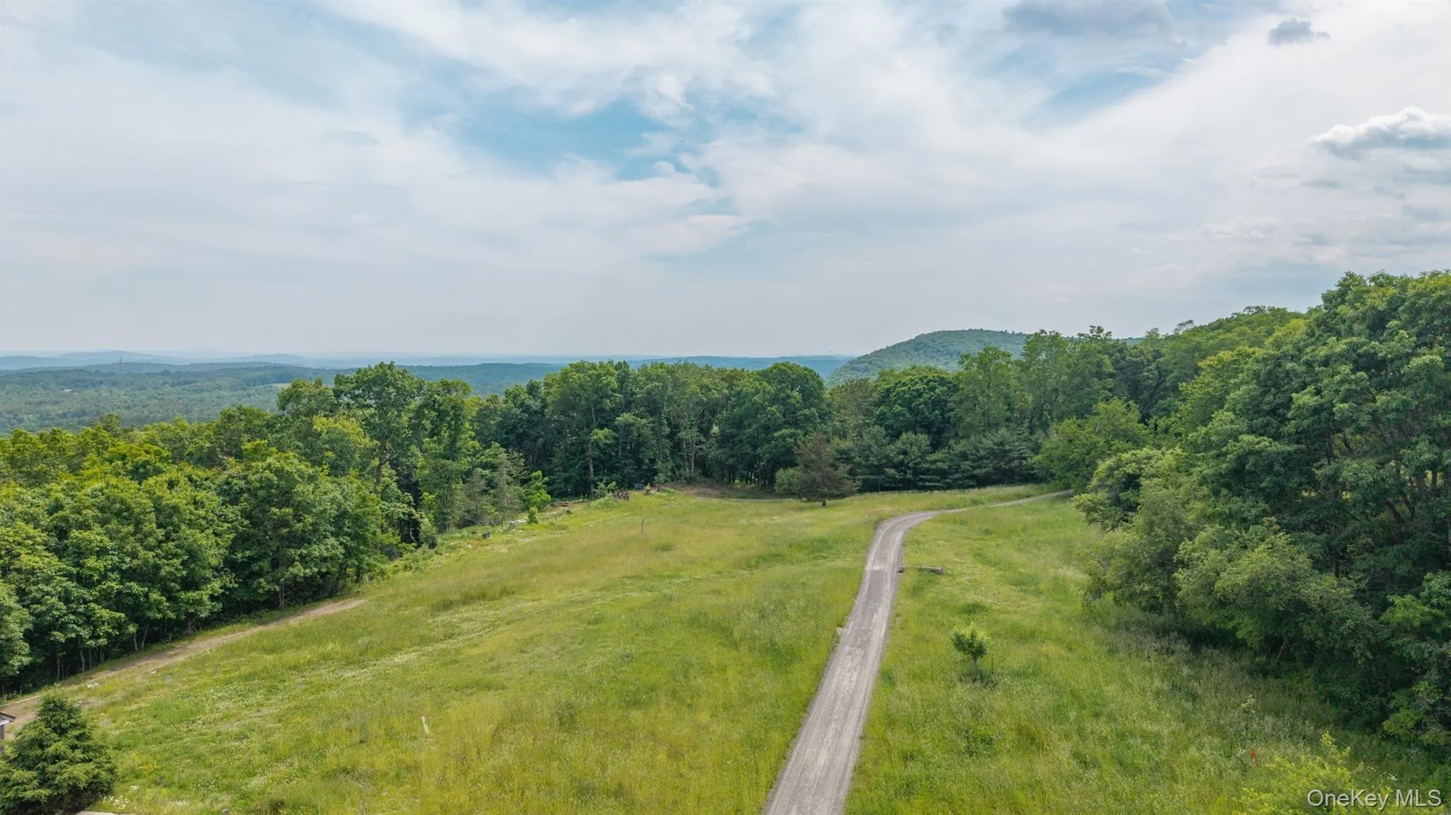 TBD Skinner Lane, Athens, NY, ,Land,For Rent,Skinner,0,1010654 TBD Skinner Lane, Athens, NY, ,Land,For Rent,Skinner,0,1010654