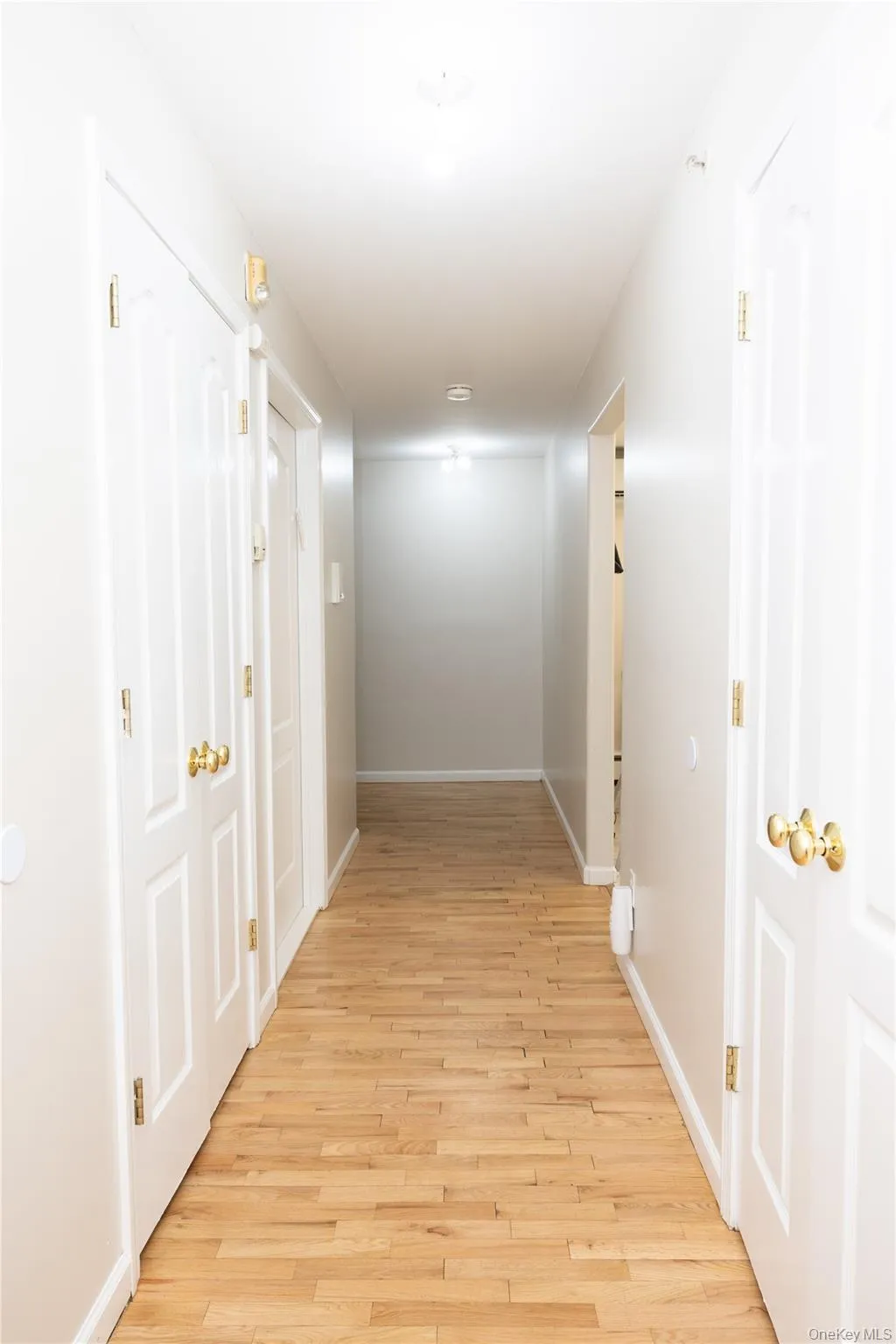 4 Rita Avenue, Ramapo, NY, 4 Bedrooms Bedrooms, 6 Rooms Rooms,2 BathroomsBathrooms,Residential,For Rent,Rita,0,1010669 4 Rita Avenue, Ramapo, NY, 4 Bedrooms Bedrooms, 6 Rooms Rooms,2 BathroomsBathrooms,Residential,For Rent,Rita,0,1010669