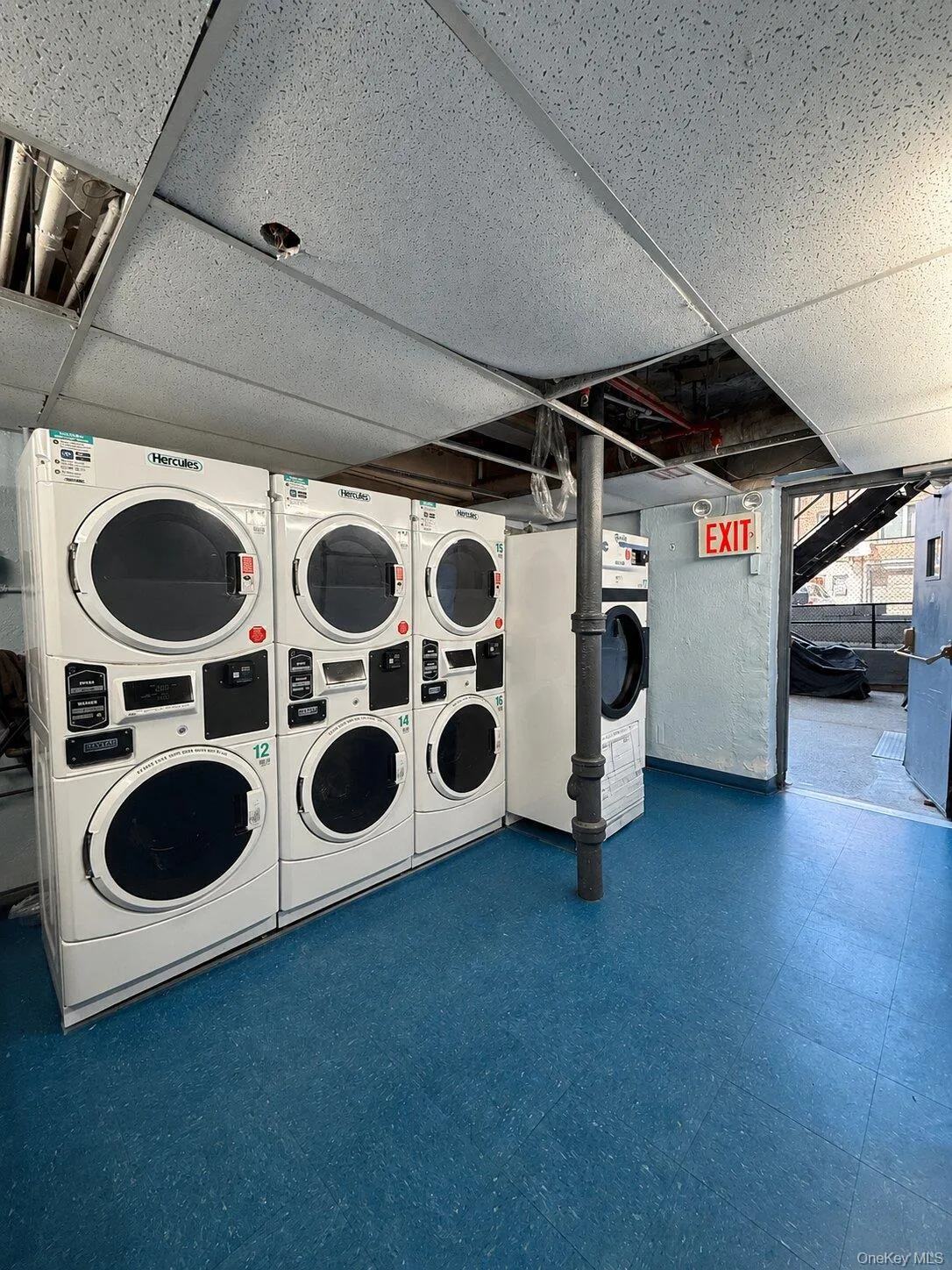 6615 Wetherole Street, New York, NY, 2 Rooms Rooms,1 BathroomBathrooms,Residential,For Rent,Wetherole,0,1010810 6615 Wetherole Street, New York, NY, 2 Rooms Rooms,1 BathroomBathrooms,Residential,For Rent,Wetherole,0,1010810