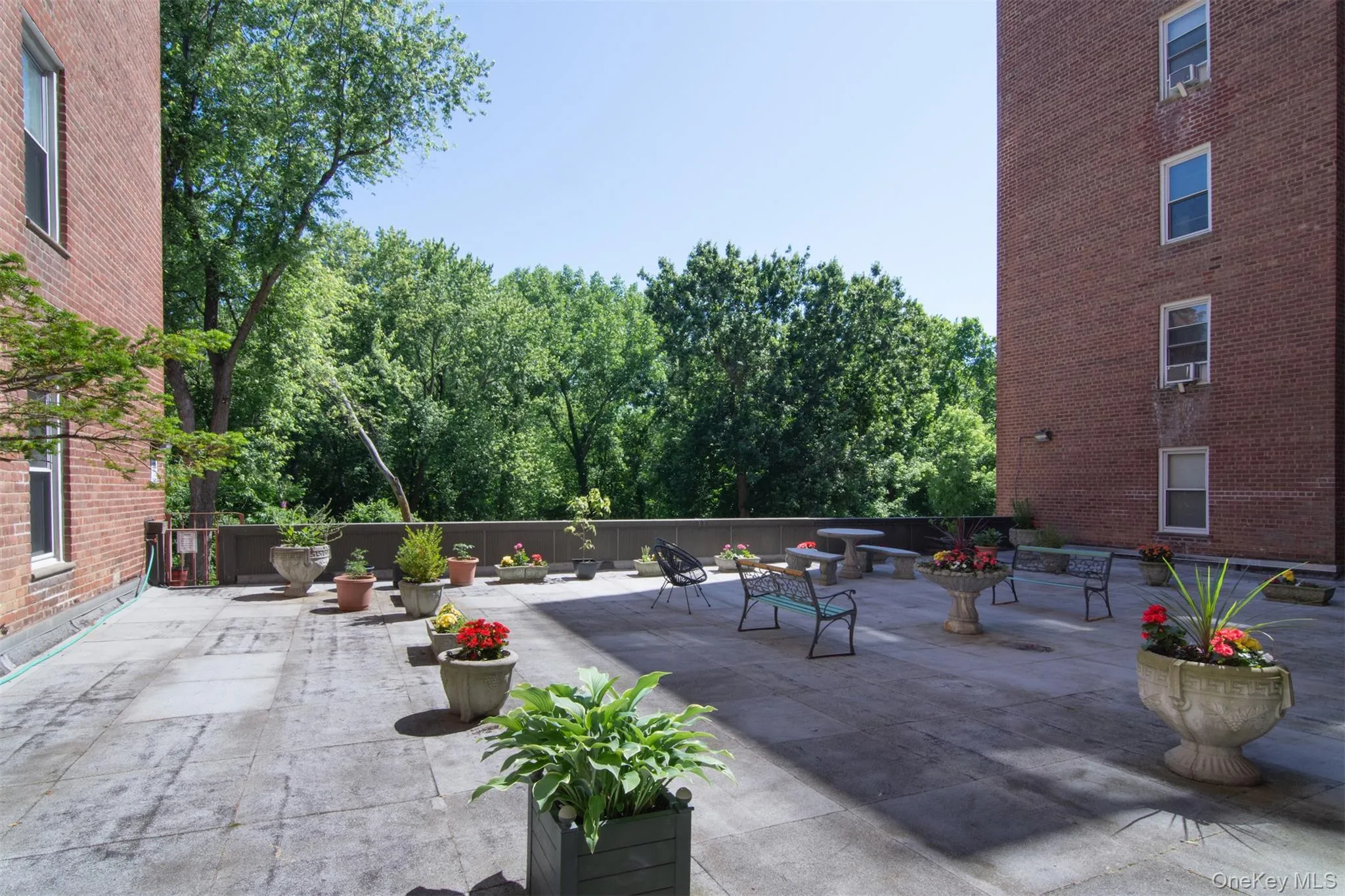 1111 Midland Avenue, Yonkers, NY, 1 Bedroom Bedrooms, 3 Rooms Rooms,1 BathroomBathrooms,Residential,For Rent,Midland,0,1010847 1111 Midland Avenue, Yonkers, NY, 1 Bedroom Bedrooms, 3 Rooms Rooms,1 BathroomBathrooms,Residential,For Rent,Midland,0,1010847