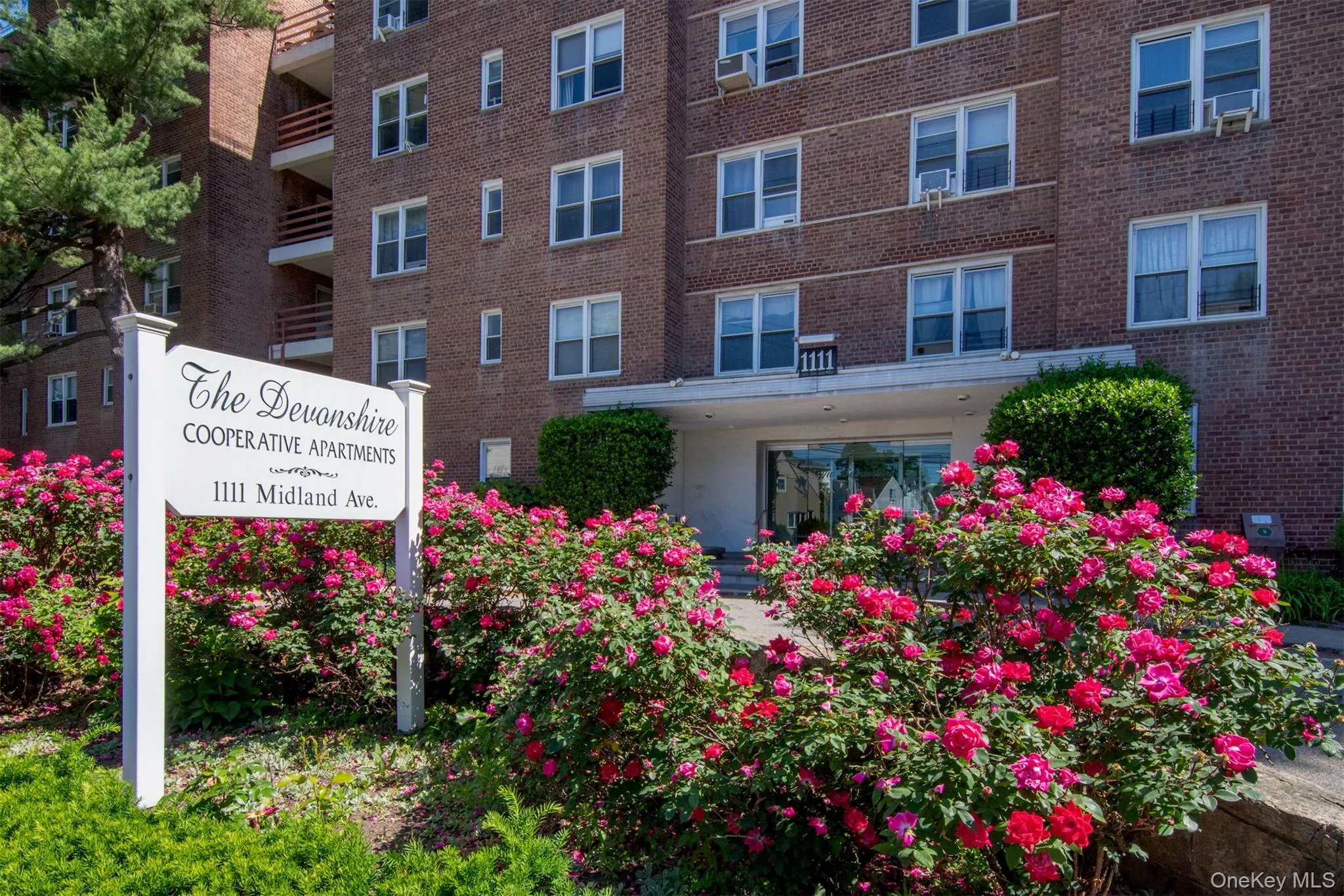 1111 Midland Avenue, Yonkers, NY, 1 Bedroom Bedrooms, 3 Rooms Rooms,1 BathroomBathrooms,Residential,For Rent,Midland,0,1010847 1111 Midland Avenue, Yonkers, NY, 1 Bedroom Bedrooms, 3 Rooms Rooms,1 BathroomBathrooms,Residential,For Rent,Midland,0,1010847