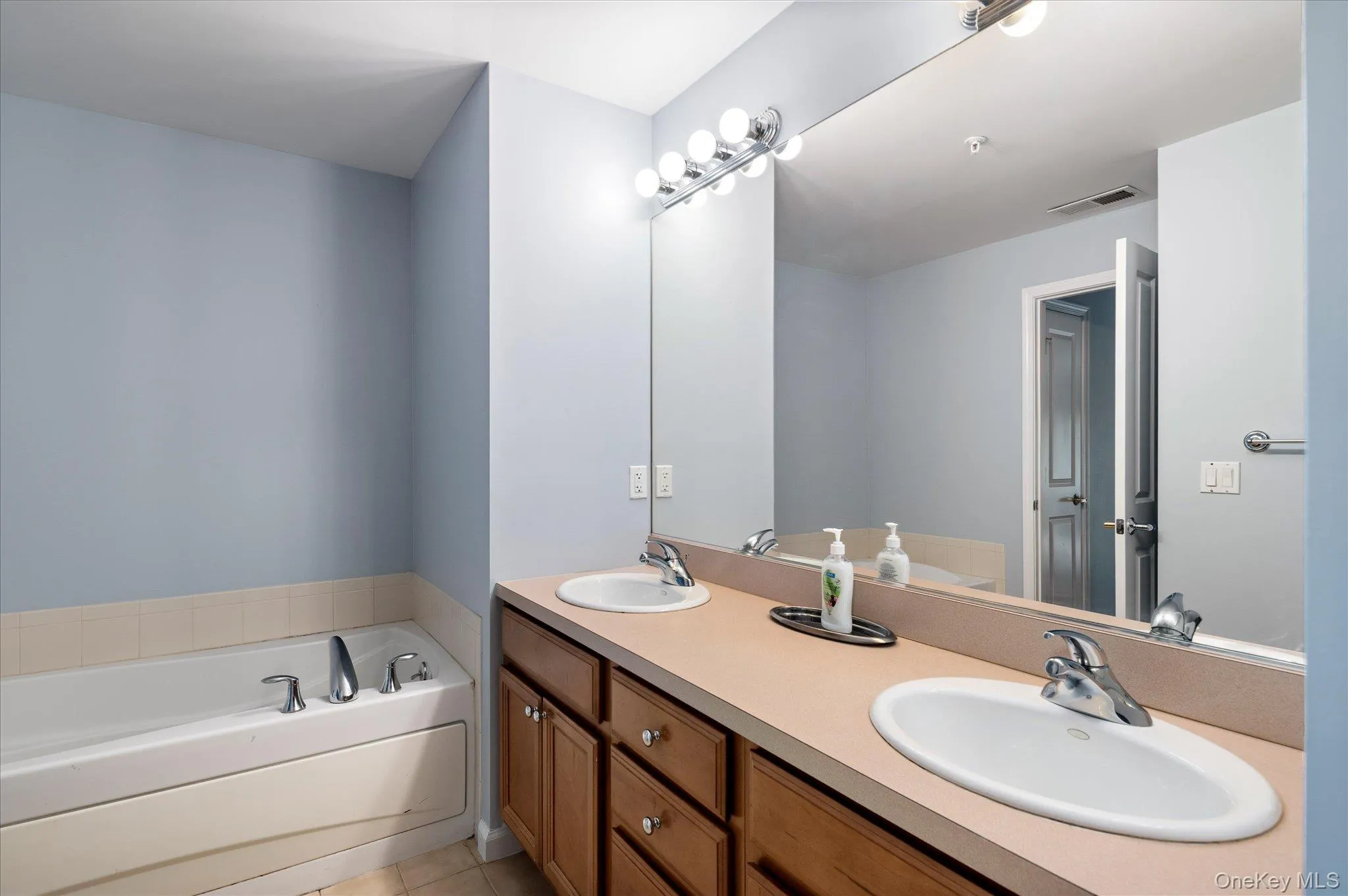 primary bathroom on lower level featuring dual sinks, jacuzzi tub and shower primary bathroom on lower level featuring dual sinks, jacuzzi tub and shower