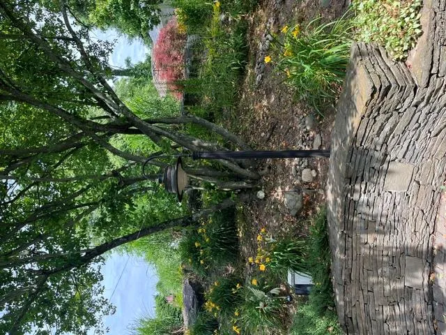 landscaped garden landscaped garden