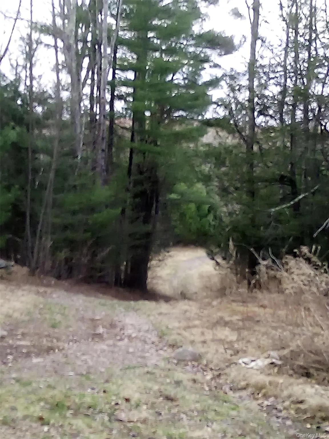 gibber Road, Thompson, NY, ,Land,For Rent,gibber,0,1010858 gibber Road, Thompson, NY, ,Land,For Rent,gibber,0,1010858