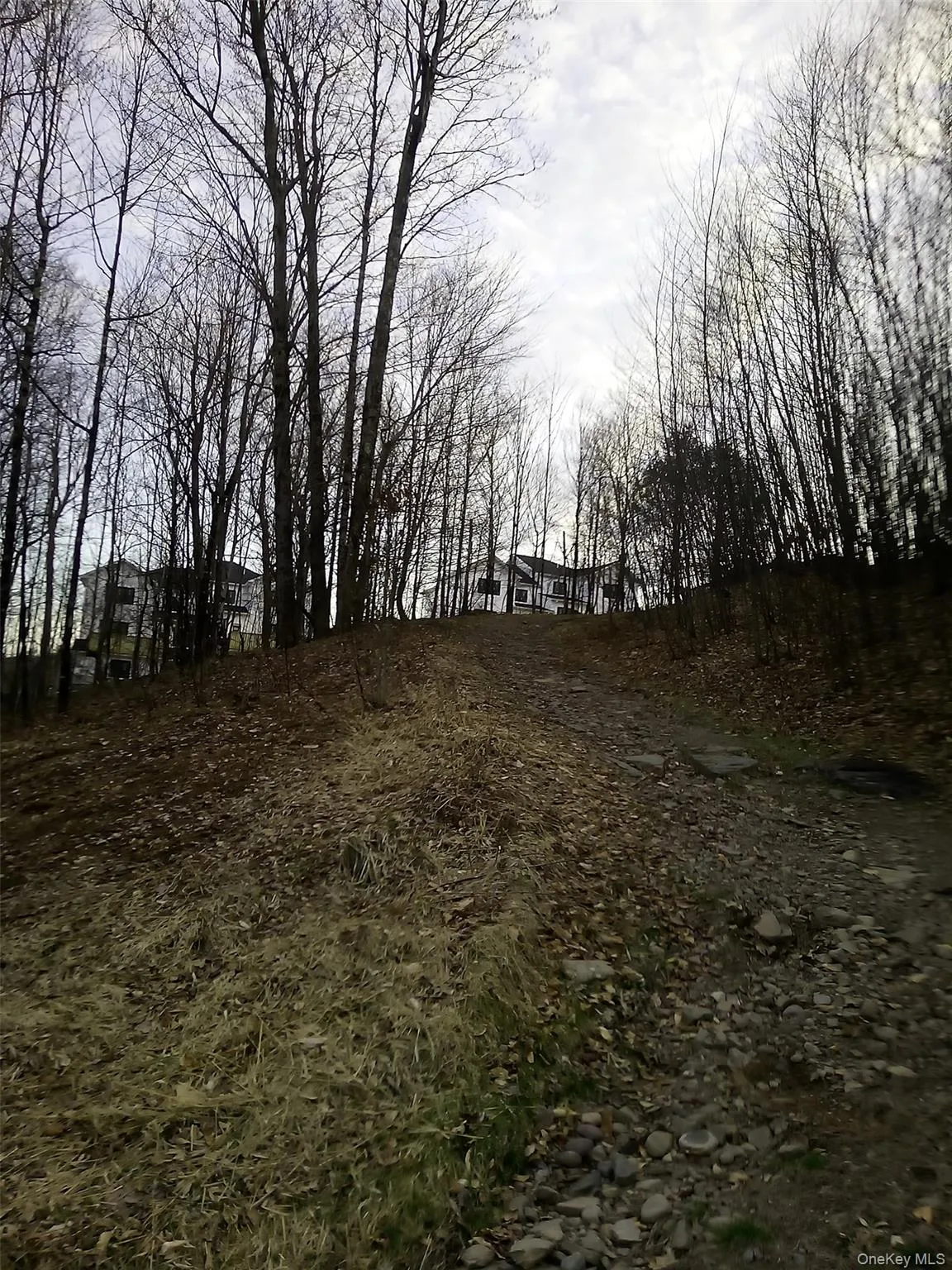 gibber Road, Thompson, NY, ,Land,For Rent,gibber,0,1010858 gibber Road, Thompson, NY, ,Land,For Rent,gibber,0,1010858