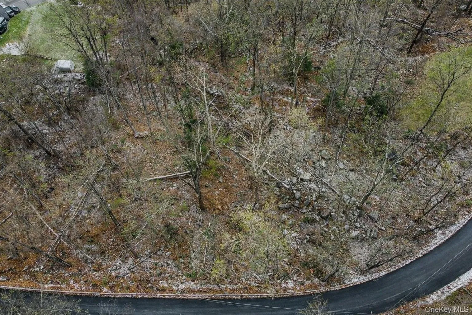 This property features a wooded landscape with mature trees bordered by a paved road This property features a wooded landscape with mature trees bordered by a paved road