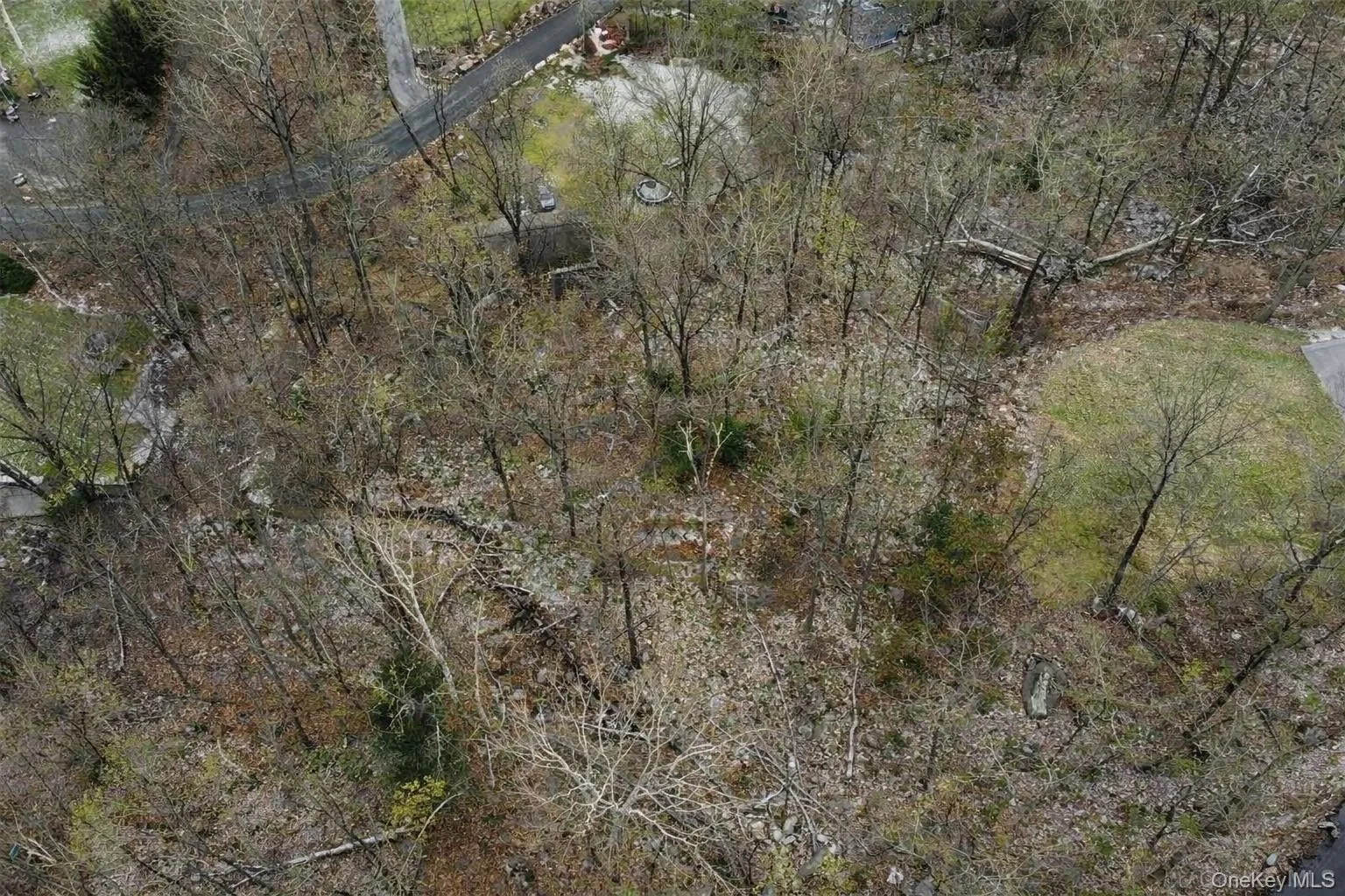 Expansive wooded lot offering natural surroundings and privacy Expansive wooded lot offering natural surroundings and privacy