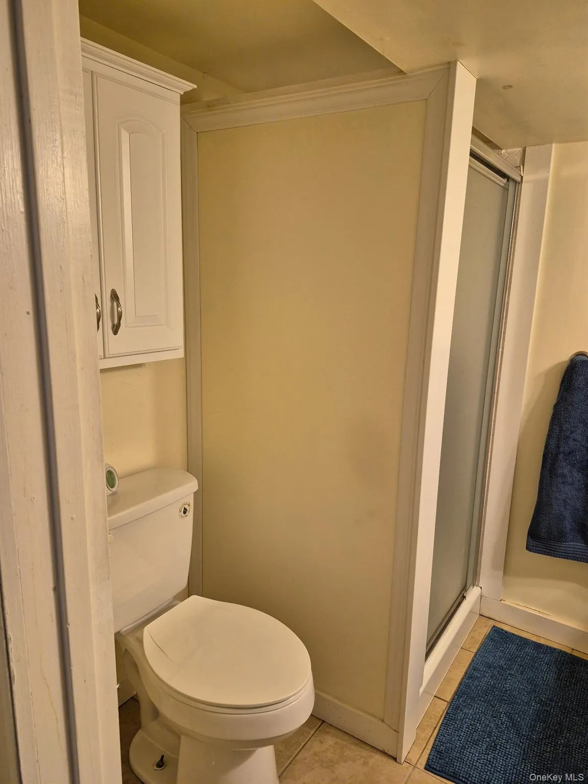 Bathroom - (left side basement) Bathroom - (left side basement)