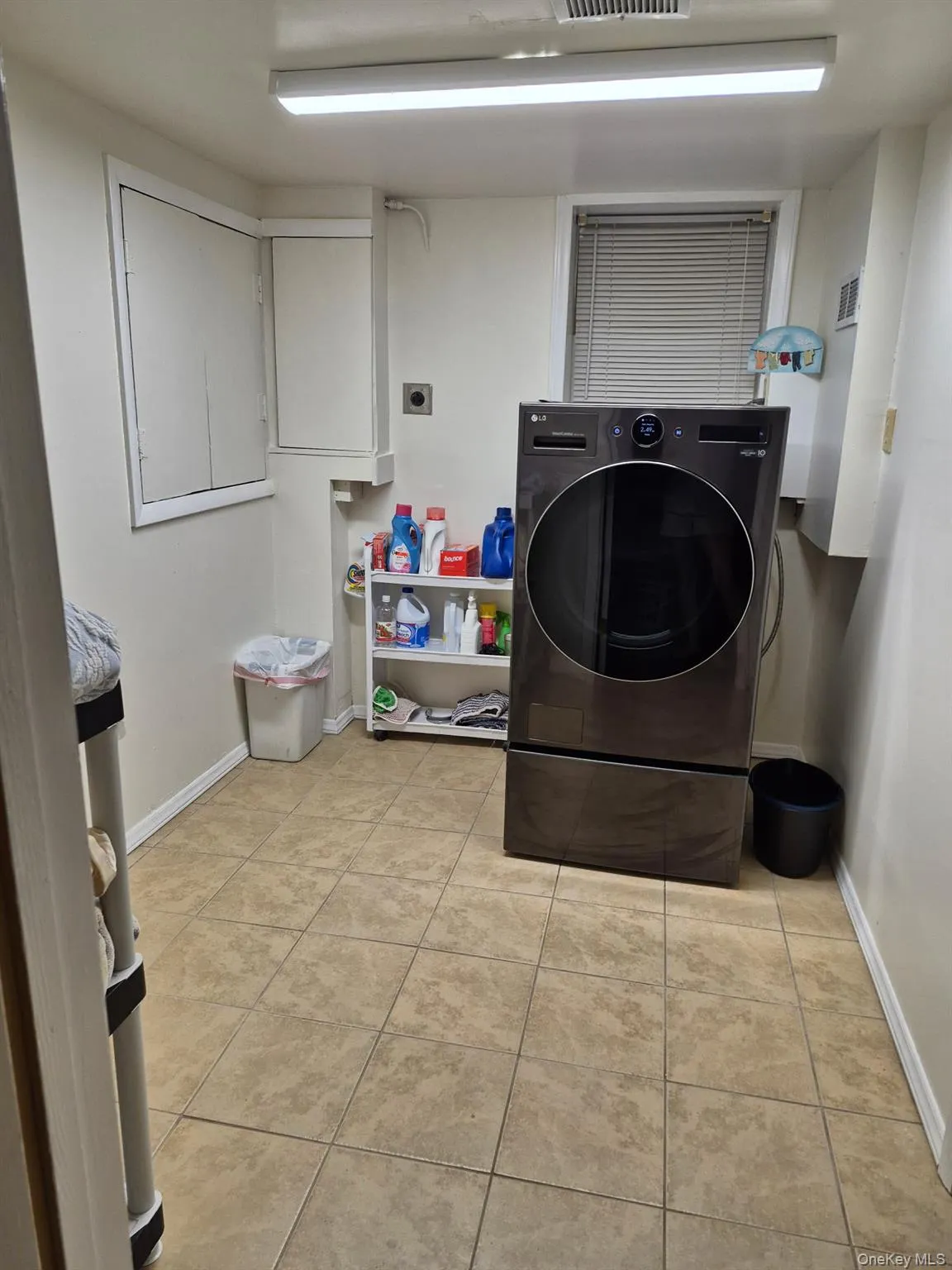Laundry room - (left side basement) Laundry room - (left side basement)