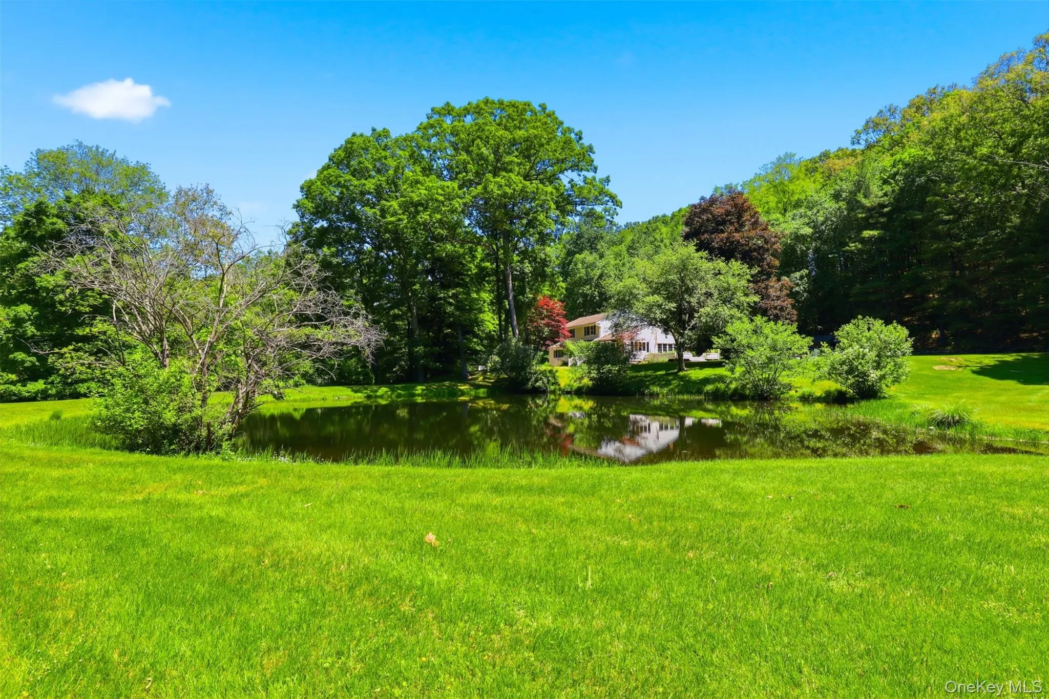13 Schildbach Road, Bedford, NY, 5 Bedrooms Bedrooms, 10 Rooms Rooms,3 BathroomsBathrooms,Residential,For Rent,Schildbach,0,1010882 13 Schildbach Road, Bedford, NY, 5 Bedrooms Bedrooms, 10 Rooms Rooms,3 BathroomsBathrooms,Residential,For Rent,Schildbach,0,1010882