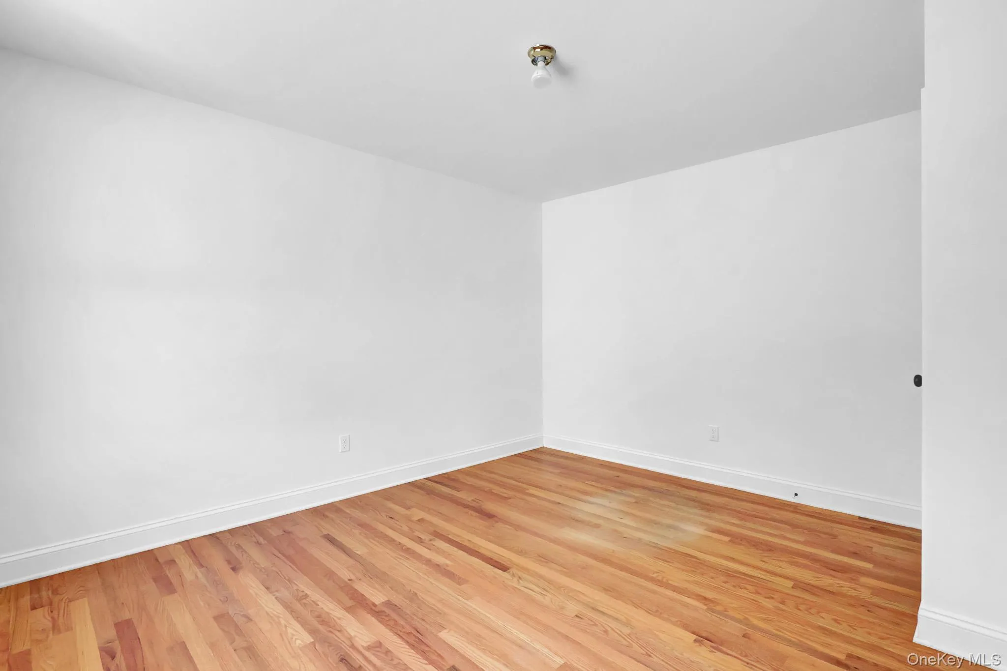 130 Mill Road, Brookhaven, NY, 4 Bedrooms Bedrooms, 8 Rooms Rooms,2 BathroomsBathrooms,Residential,For Rent,Mill,0,1010886 130 Mill Road, Brookhaven, NY, 4 Bedrooms Bedrooms, 8 Rooms Rooms,2 BathroomsBathrooms,Residential,For Rent,Mill,0,1010886