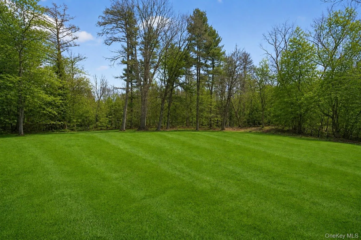 1862 Muttontown Road, Oyster Bay, NY, 6 Bedrooms Bedrooms, 12 Rooms Rooms,6 BathroomsBathrooms,Residential,For Rent,Muttontown,0,1010916 1862 Muttontown Road, Oyster Bay, NY, 6 Bedrooms Bedrooms, 12 Rooms Rooms,6 BathroomsBathrooms,Residential,For Rent,Muttontown,0,1010916