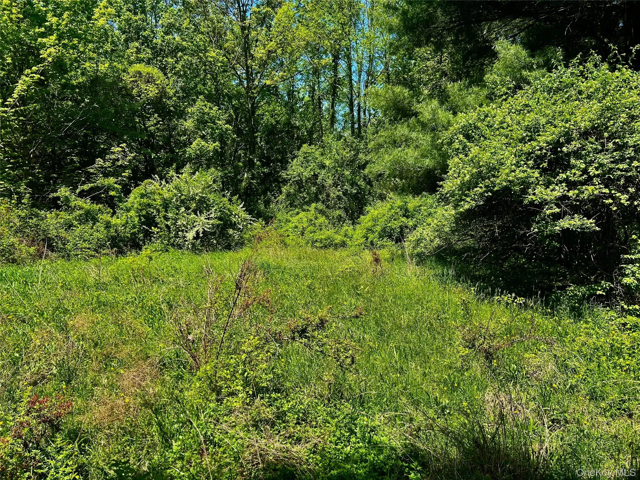 Potential Home Site Potential Home Site