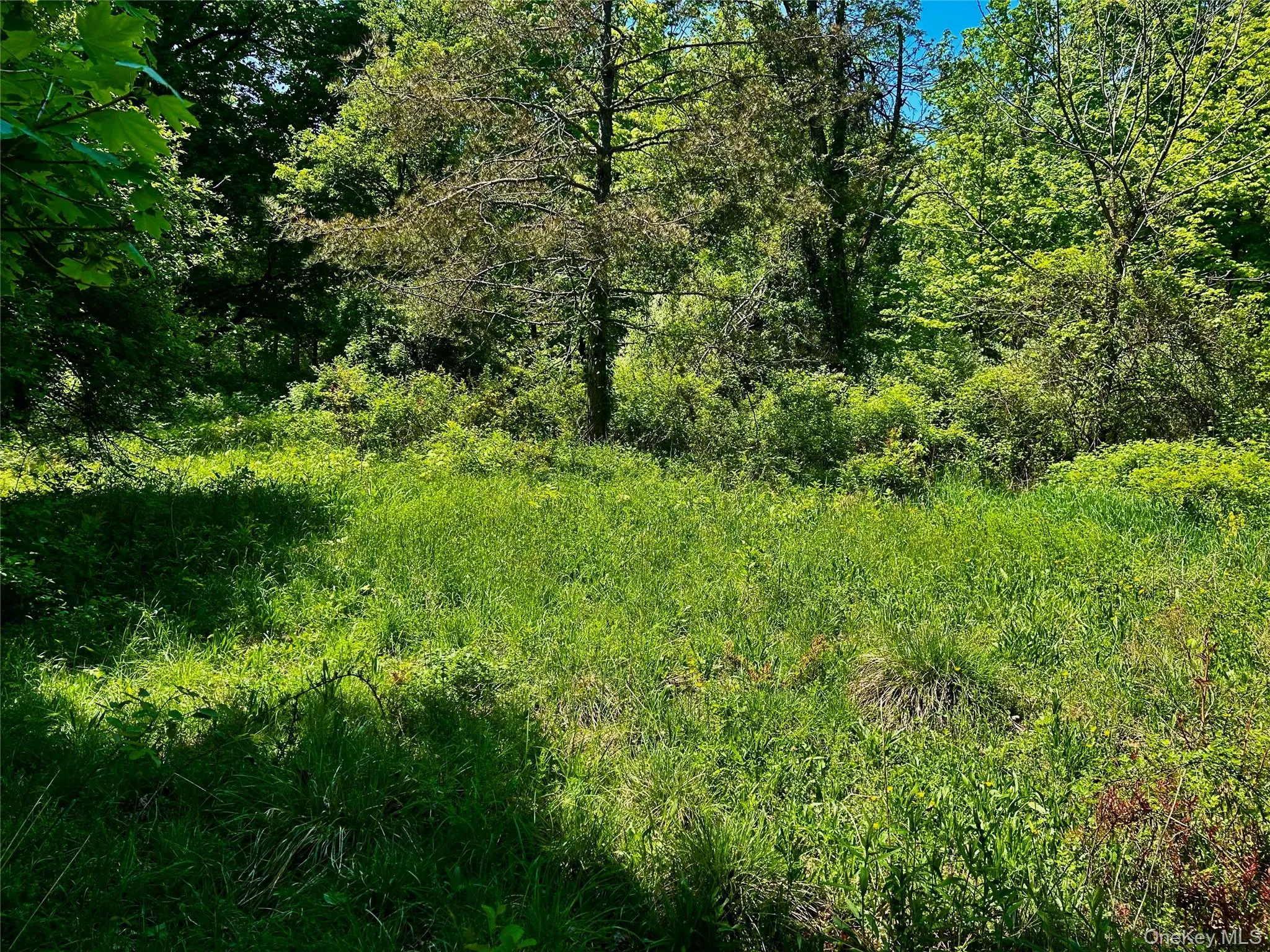 Potential Home Site Potential Home Site
