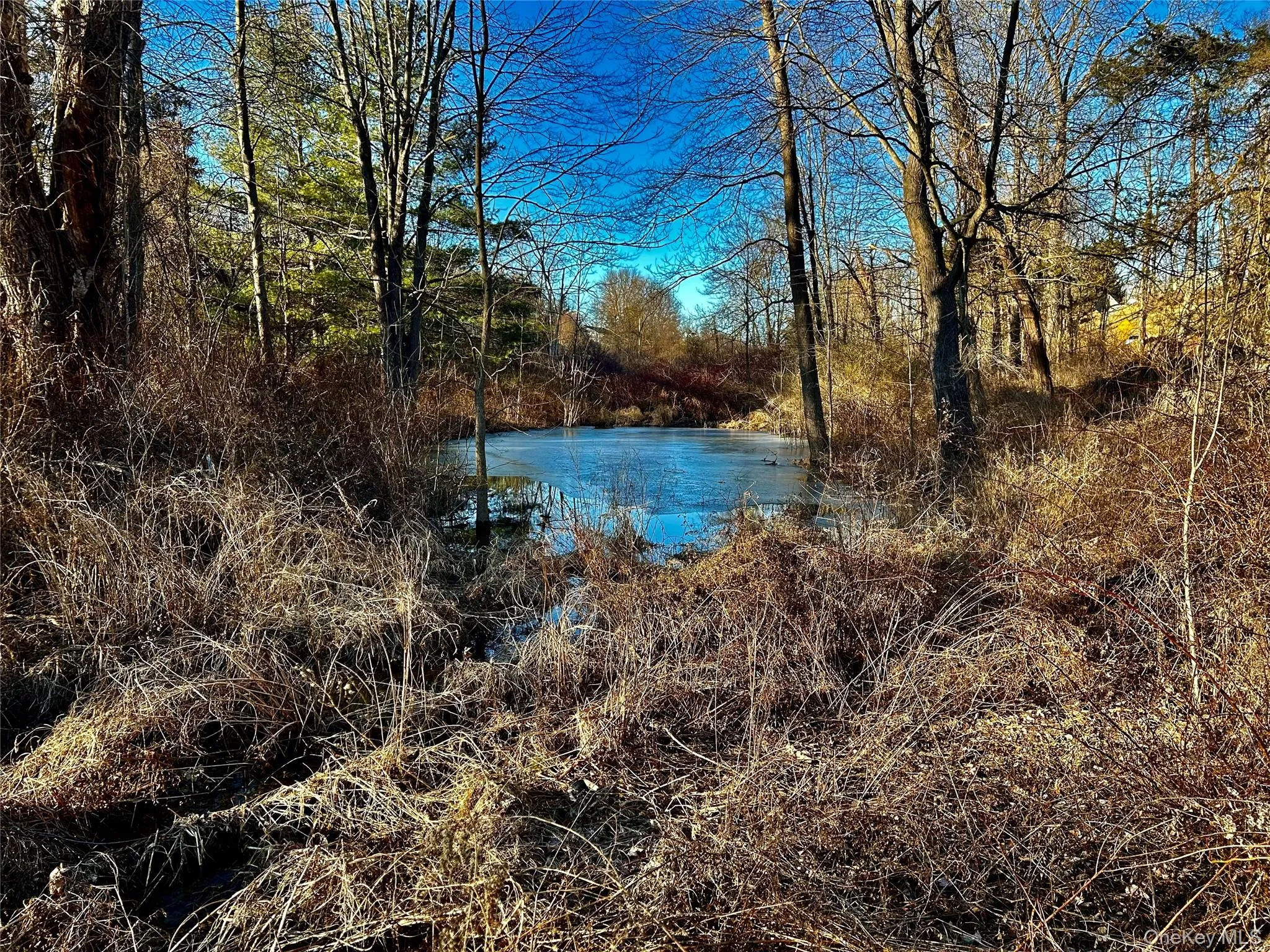 Small pond Small pond