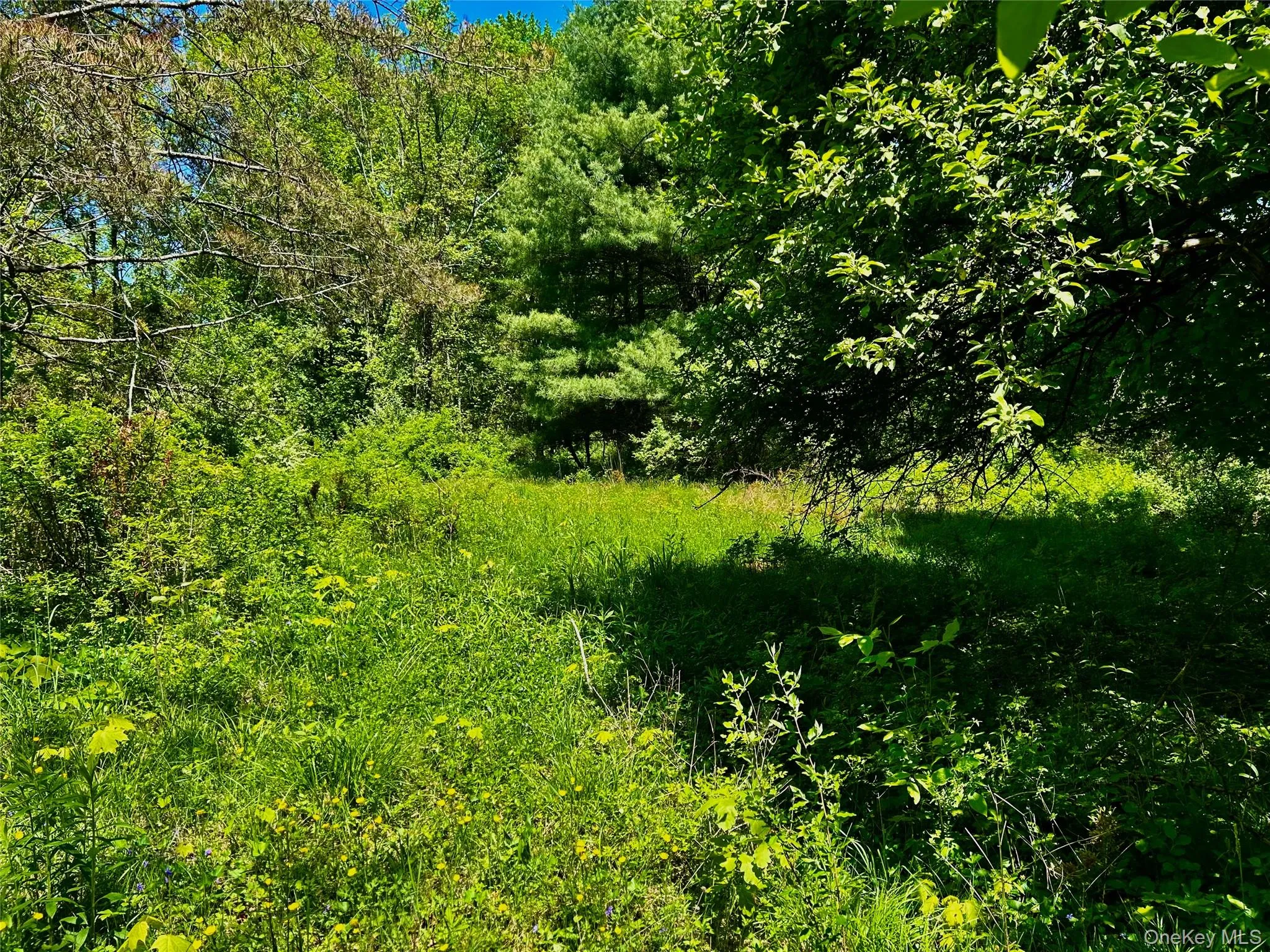 Potential Home Site Potential Home Site