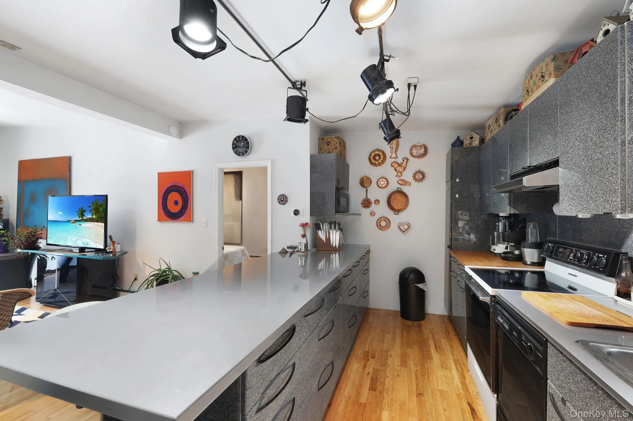 Kitchen featuring a peninsula, black appliances, light wood-style flooring, and dark cabinets Kitchen featuring a peninsula, black appliances, light wood-style flooring, and dark cabinets