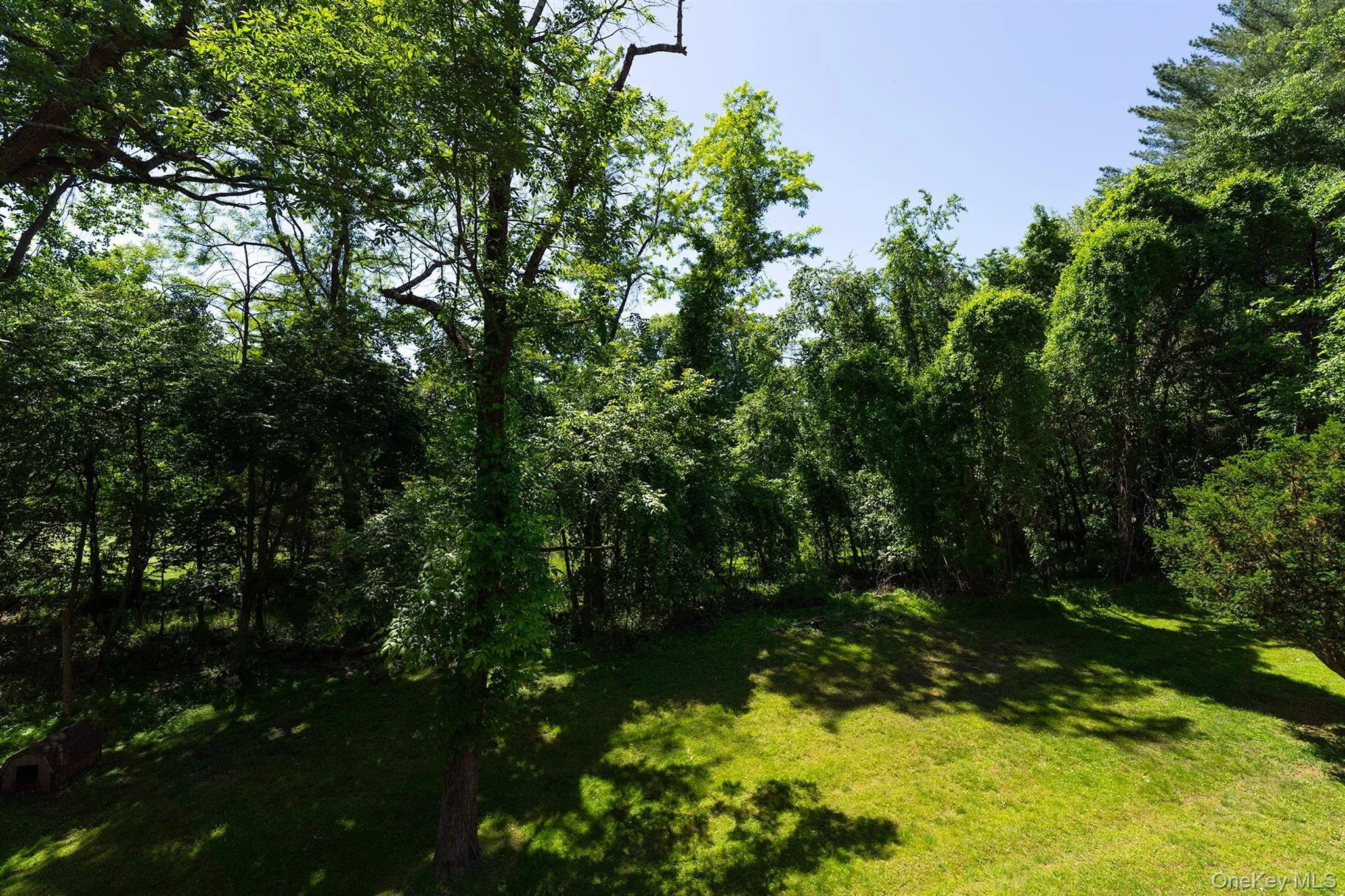81 Hempstead Road, Ramapo, NY, 4 Bedrooms Bedrooms, 6 Rooms Rooms,2 BathroomsBathrooms,Residential,For Rent,Hempstead,0,KEY1011041 81 Hempstead Road, Ramapo, NY, 4 Bedrooms Bedrooms, 6 Rooms Rooms,2 BathroomsBathrooms,Residential,For Rent,Hempstead,0,KEY1011041
