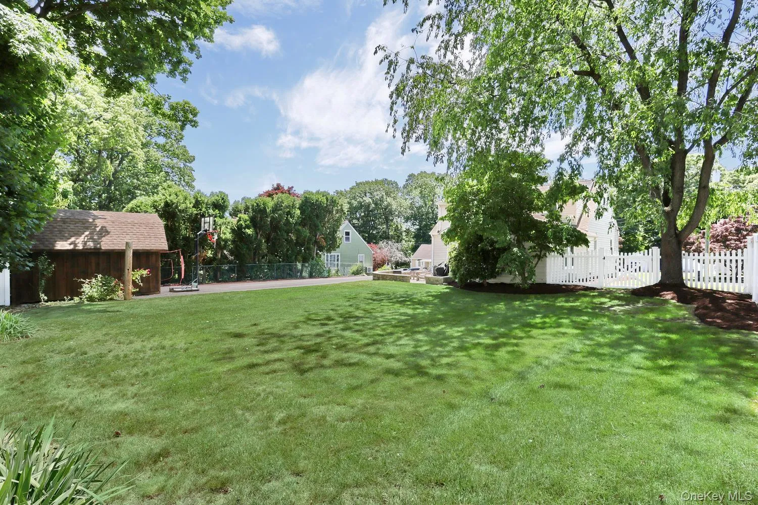 Backyard Backyard