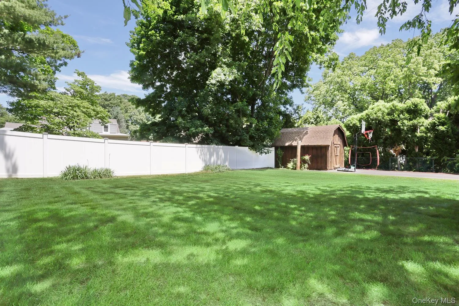 Backyard Backyard
