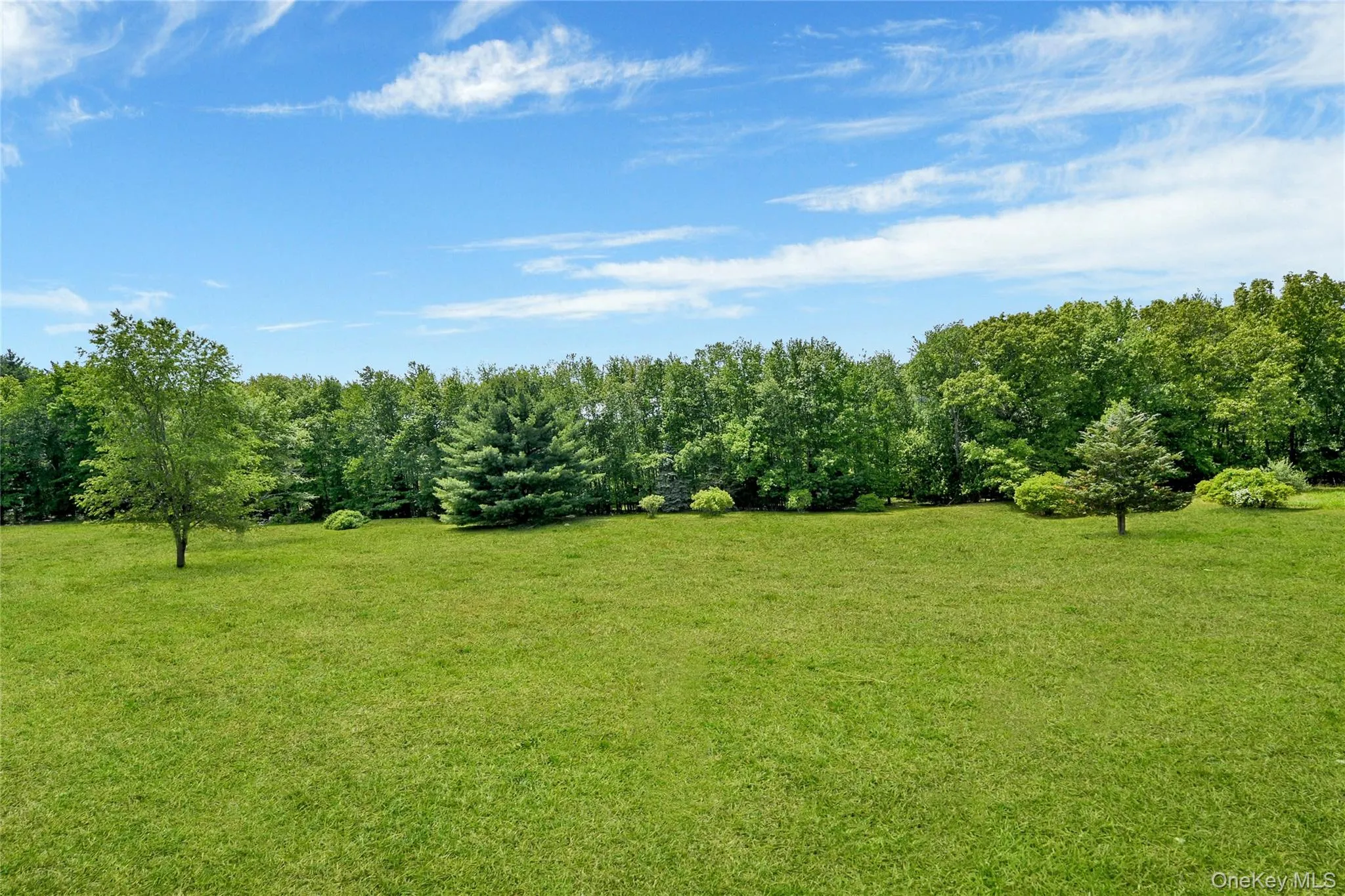 99 Whitlock Road, Mount Hope, NY, 3 Bedrooms Bedrooms, 9 Rooms Rooms,3 BathroomsBathrooms,Residential,For Rent,Whitlock,0,1011075 99 Whitlock Road, Mount Hope, NY, 3 Bedrooms Bedrooms, 9 Rooms Rooms,3 BathroomsBathrooms,Residential,For Rent,Whitlock,0,1011075