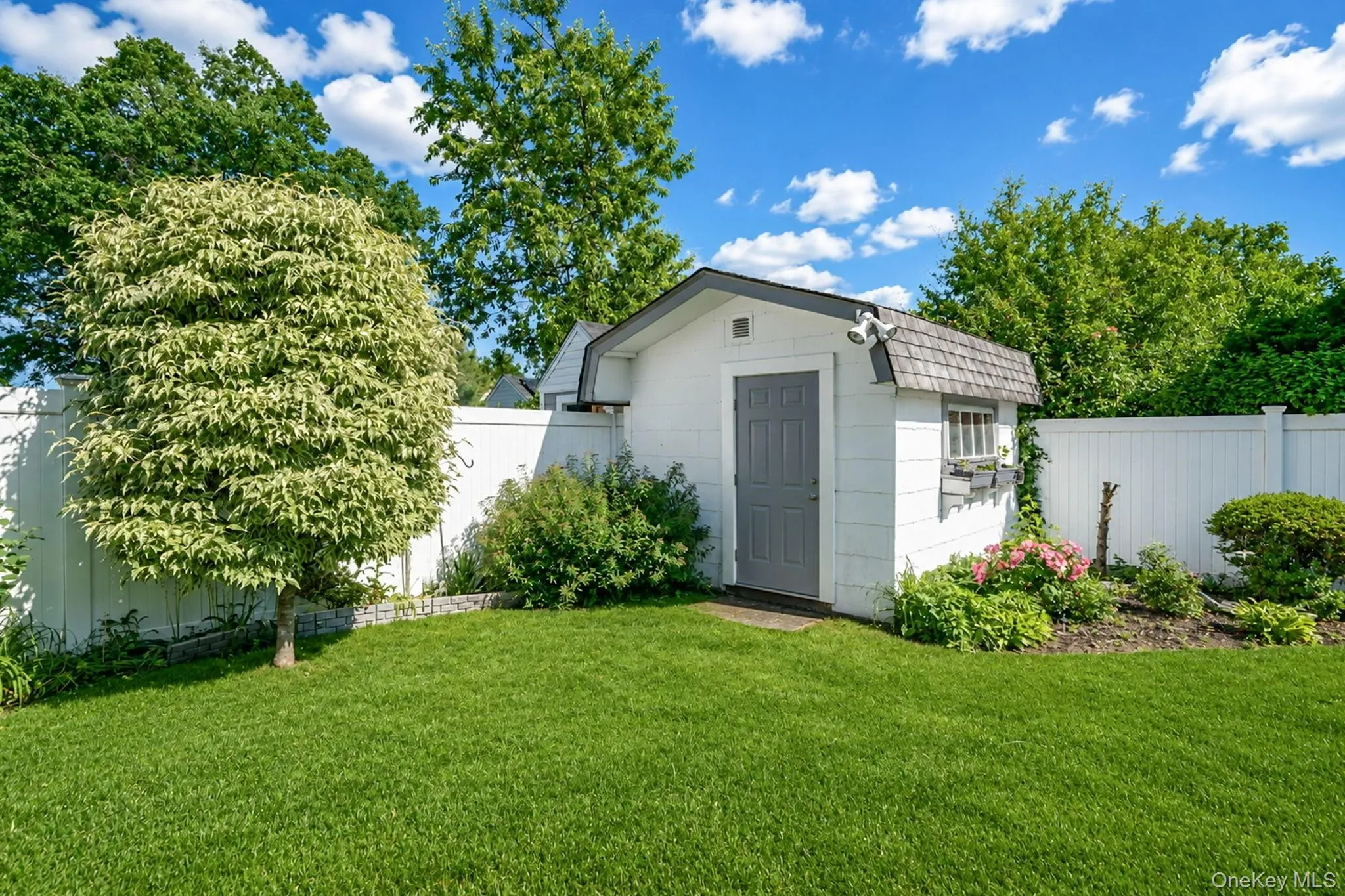 144 Blue Spruce Road, Hempstead, NY, 3 Bedrooms Bedrooms, 7 Rooms Rooms,2 BathroomsBathrooms,Residential,For Rent,Blue Spruce,0,1011082 144 Blue Spruce Road, Hempstead, NY, 3 Bedrooms Bedrooms, 7 Rooms Rooms,2 BathroomsBathrooms,Residential,For Rent,Blue Spruce,0,1011082