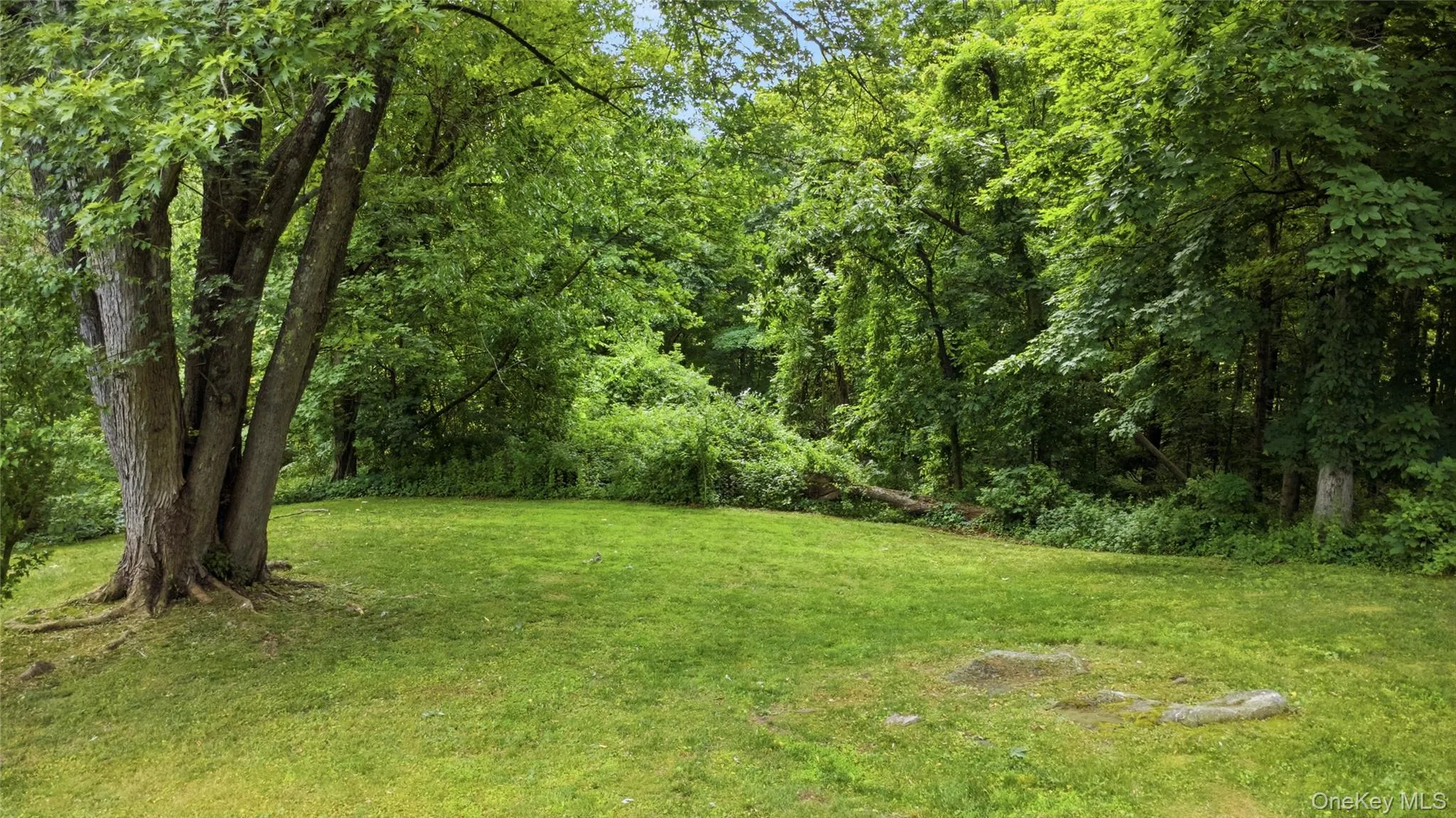 333 Route 312, Southeast, NY, 2 Bedrooms Bedrooms, 6 Rooms Rooms,2 BathroomsBathrooms,Residential,For Rent,Route 312,0,1011083 333 Route 312, Southeast, NY, 2 Bedrooms Bedrooms, 6 Rooms Rooms,2 BathroomsBathrooms,Residential,For Rent,Route 312,0,1011083